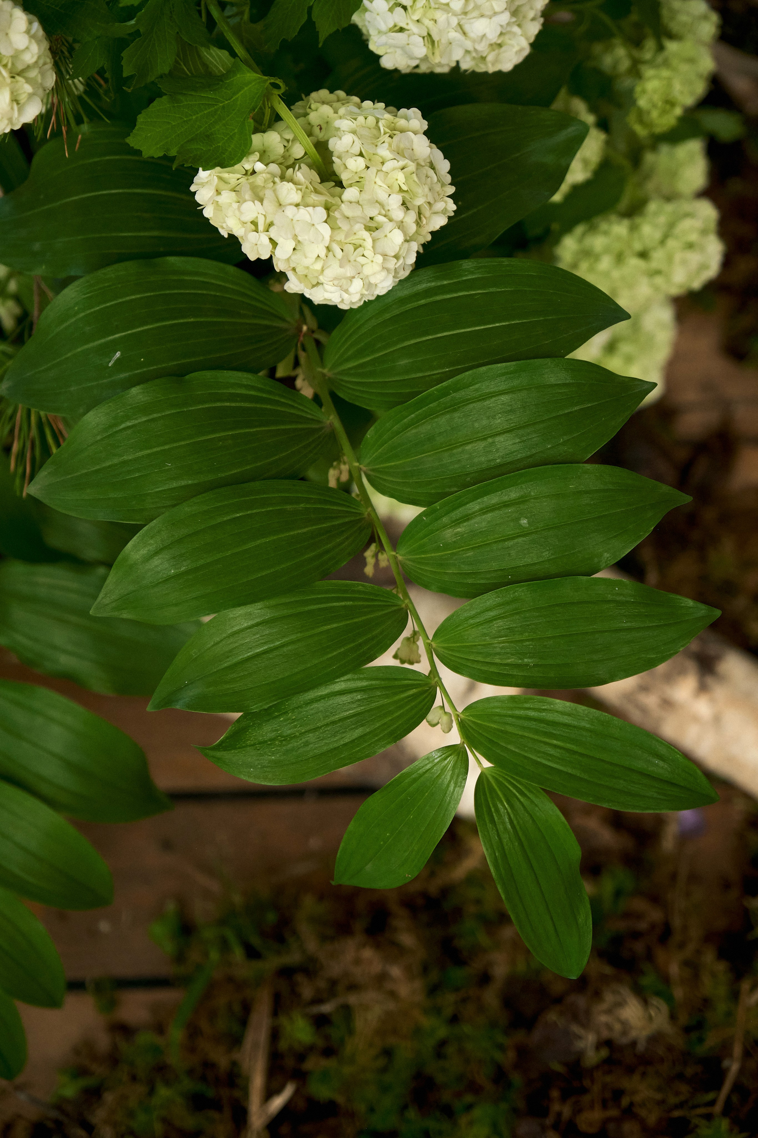 Мужской ДР «Жить ОХОТА». Оформление свадеб, декор свадеб Вера Маркова, Москва