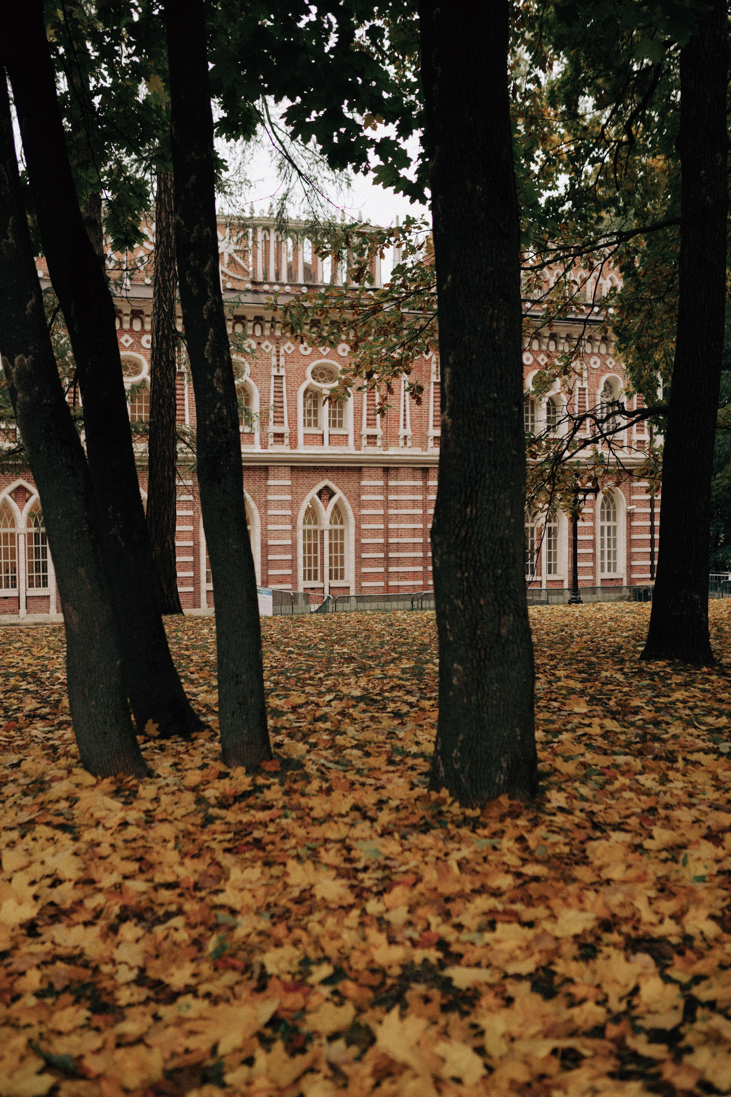 Нелли. Фотограф Екатерина Катунова | Москва