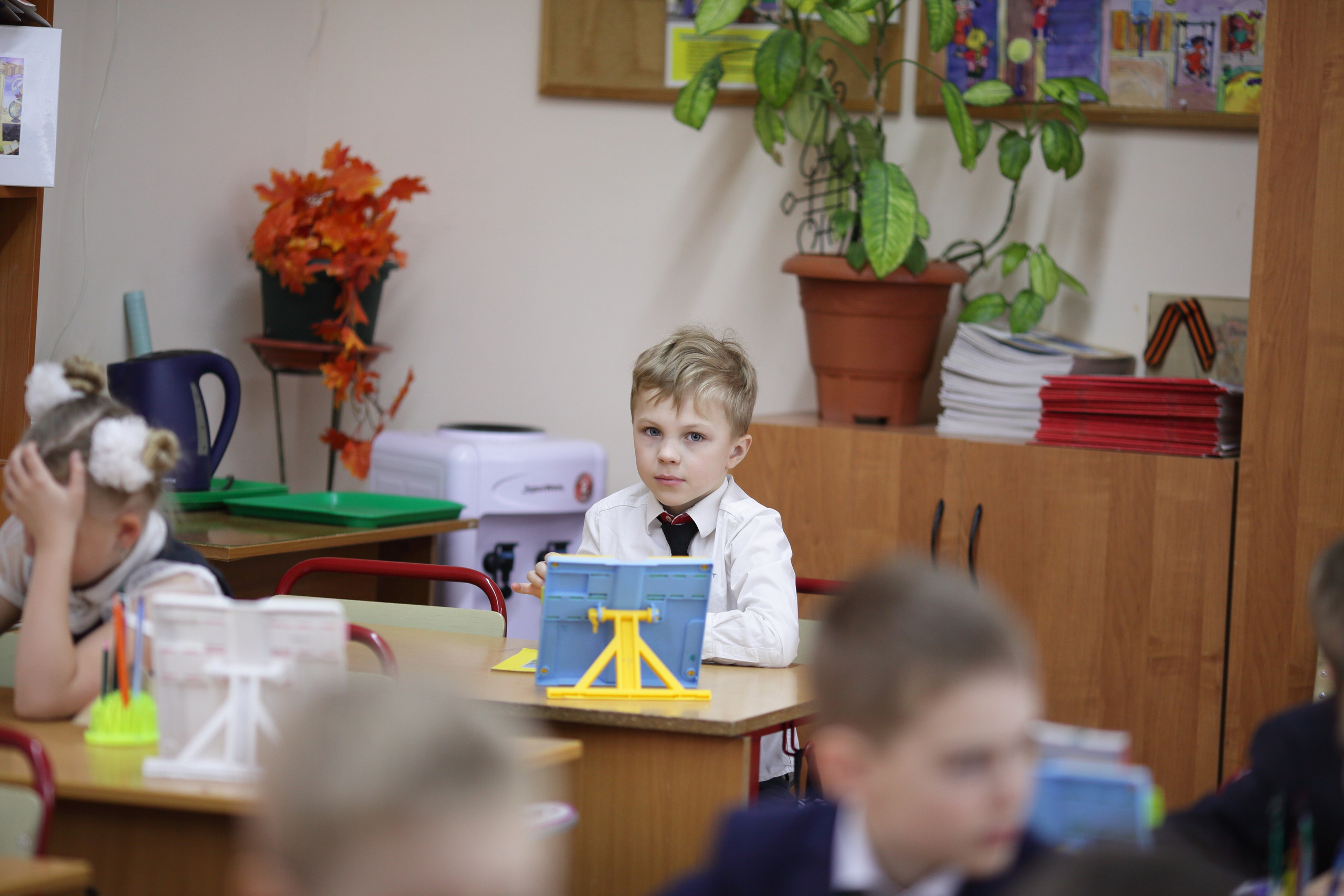 Первоклашки и старше. Семейный и детский фотограф Беспалова Анна