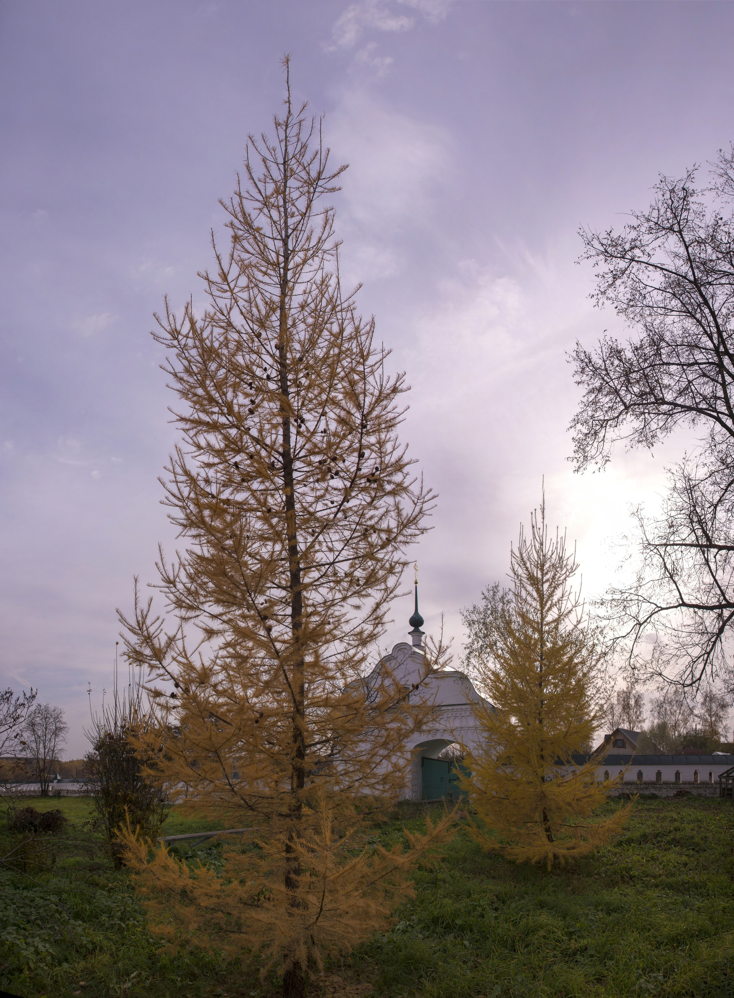 Кидекша. Октябрь 2021. Игорь Жучков. Россия увиденная глазами путешествующего фотографа