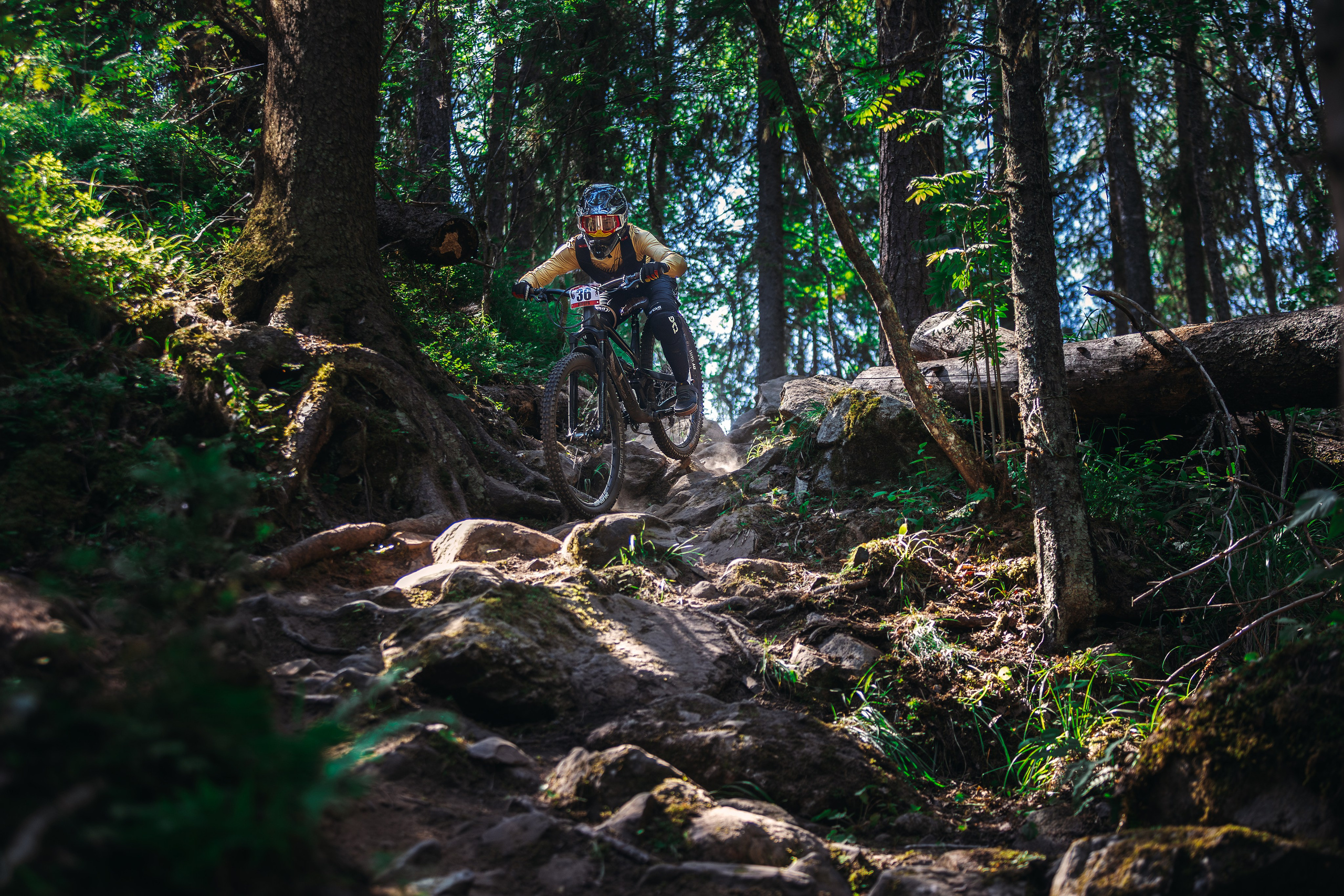 Гонка Ялгора. Фотограф анималист Никита Натальный