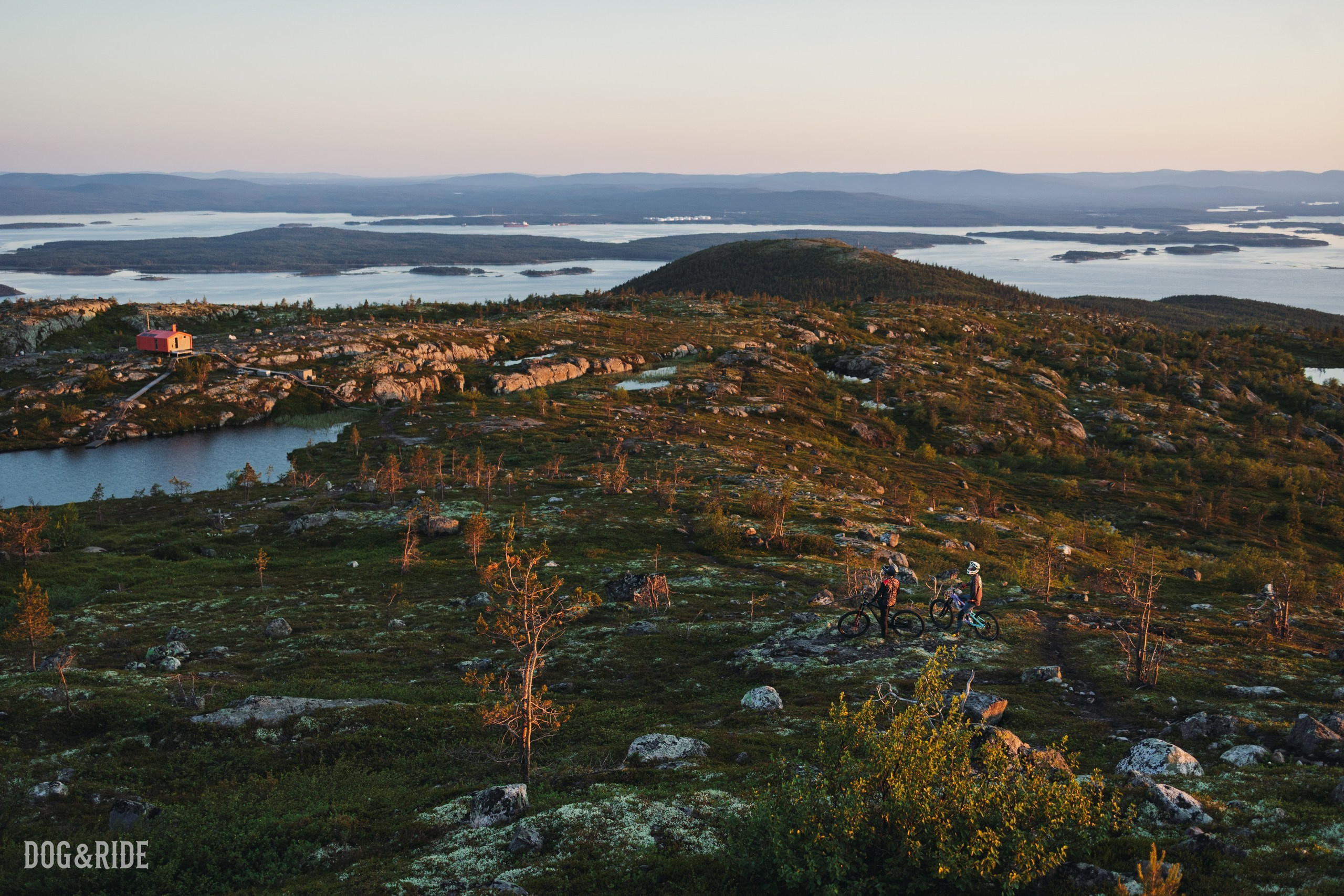 Кандалакшка. Фотограф анималист Никита Натальный