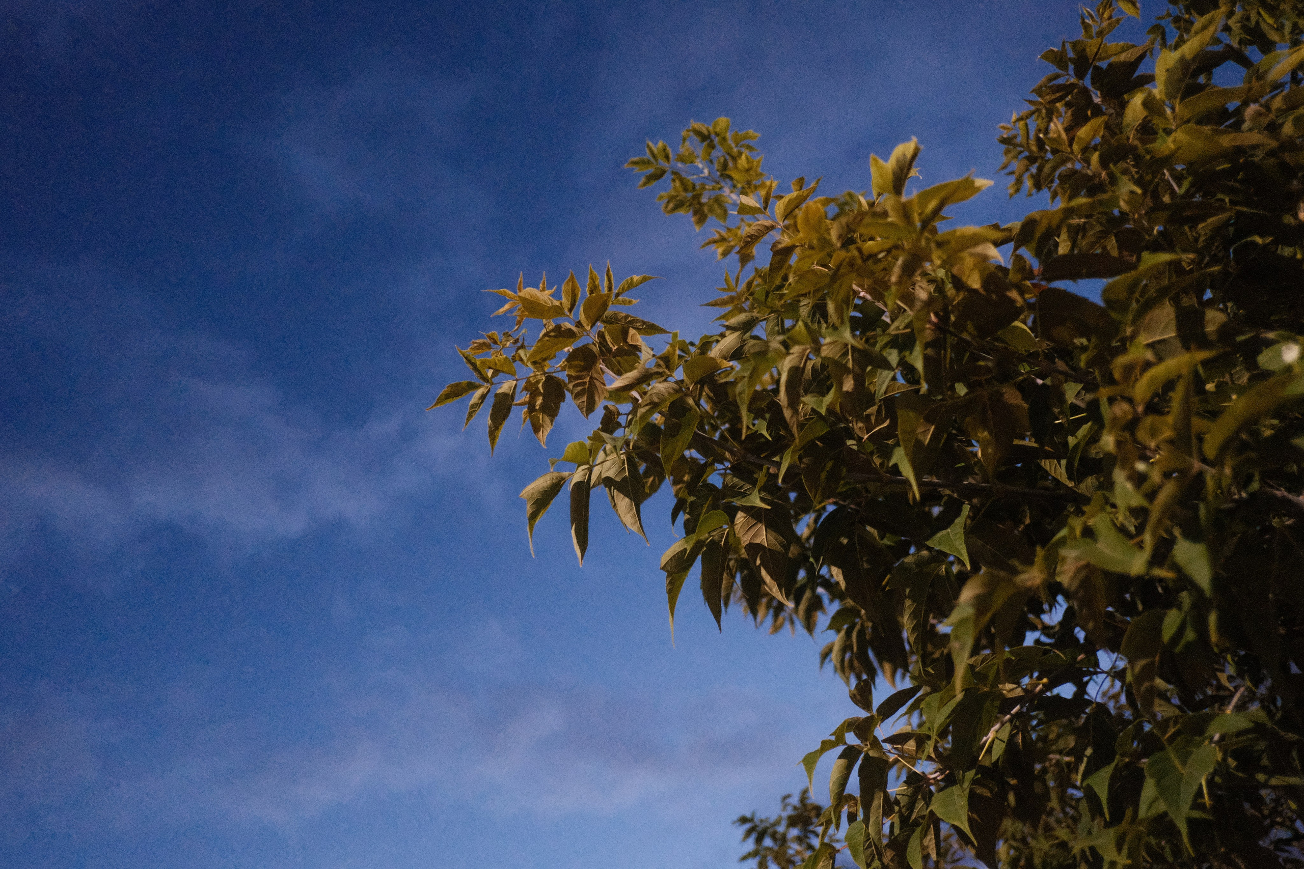 Наблюдения. Семейный фотограф в Новосибирске Артём Кузнецов