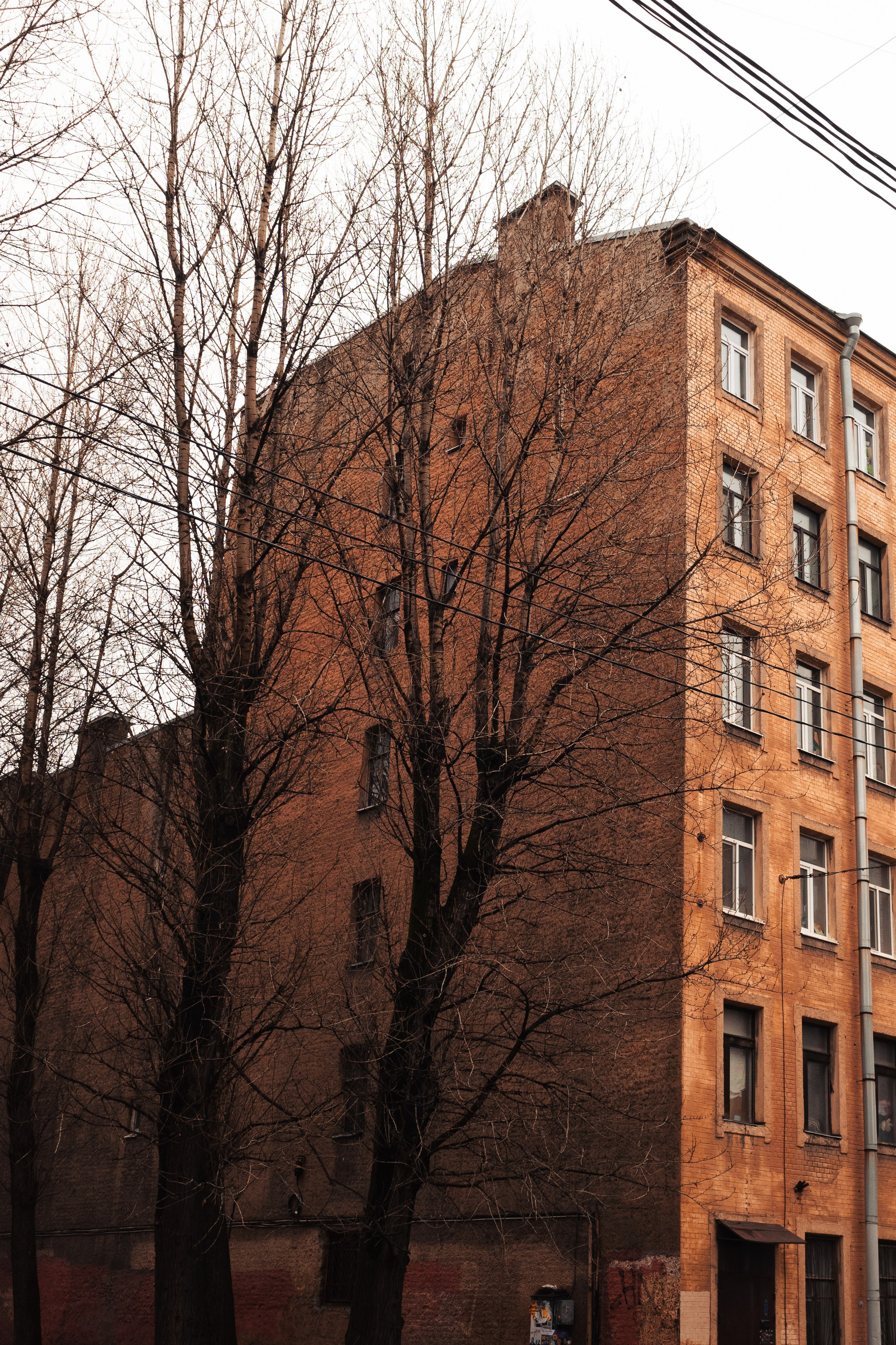 Питер. Портретный и уличный фотограф в Москве Таня Корнеева