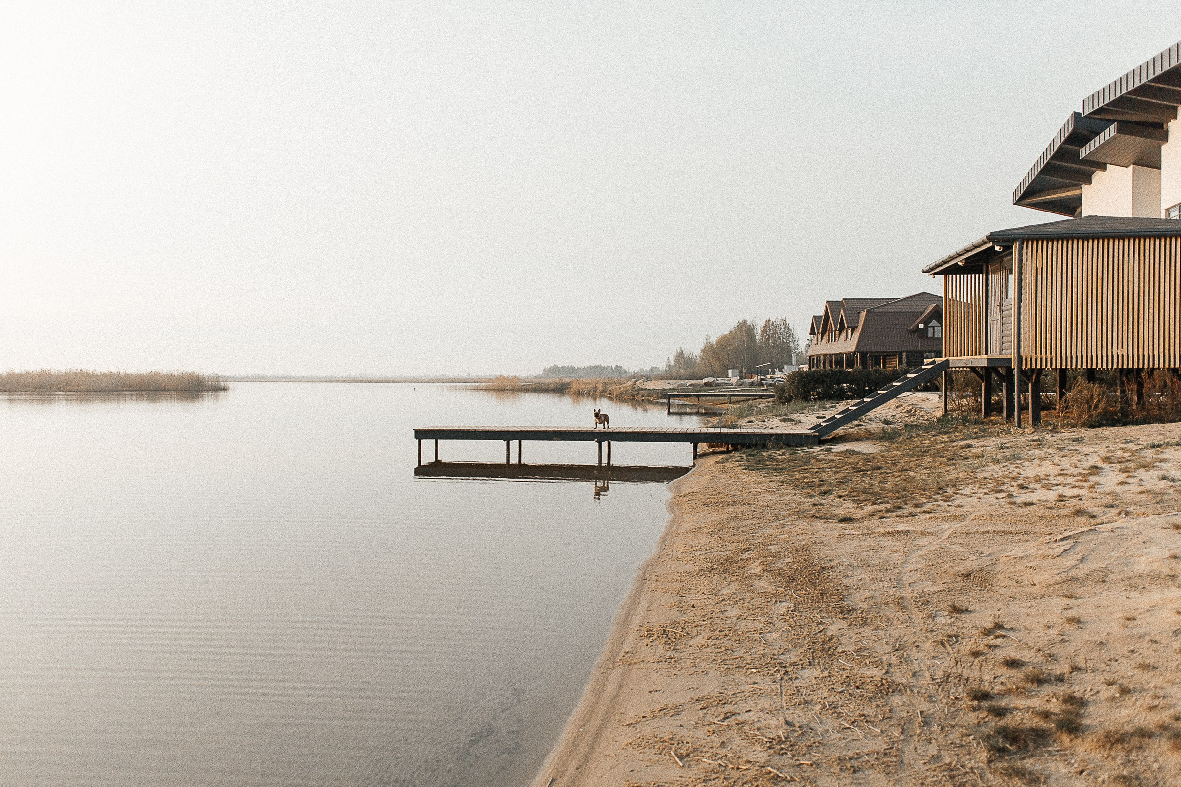 Кристина и Роман. Семейный фотограф Тюмень Смирнова Юлия