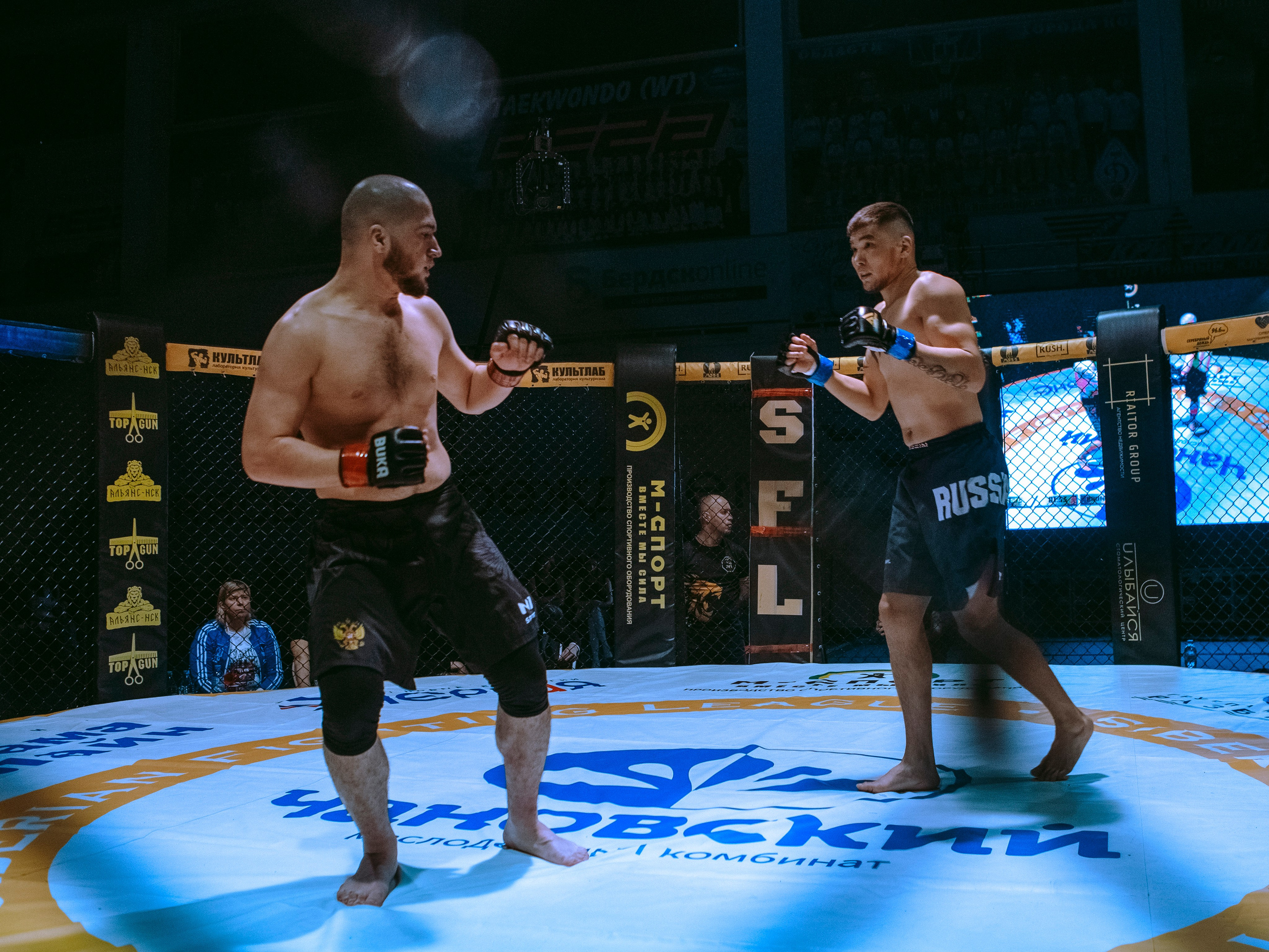 SFL 17 | Siberian Fighting League. Портретный фотограф в Москве Дарья Цезария
