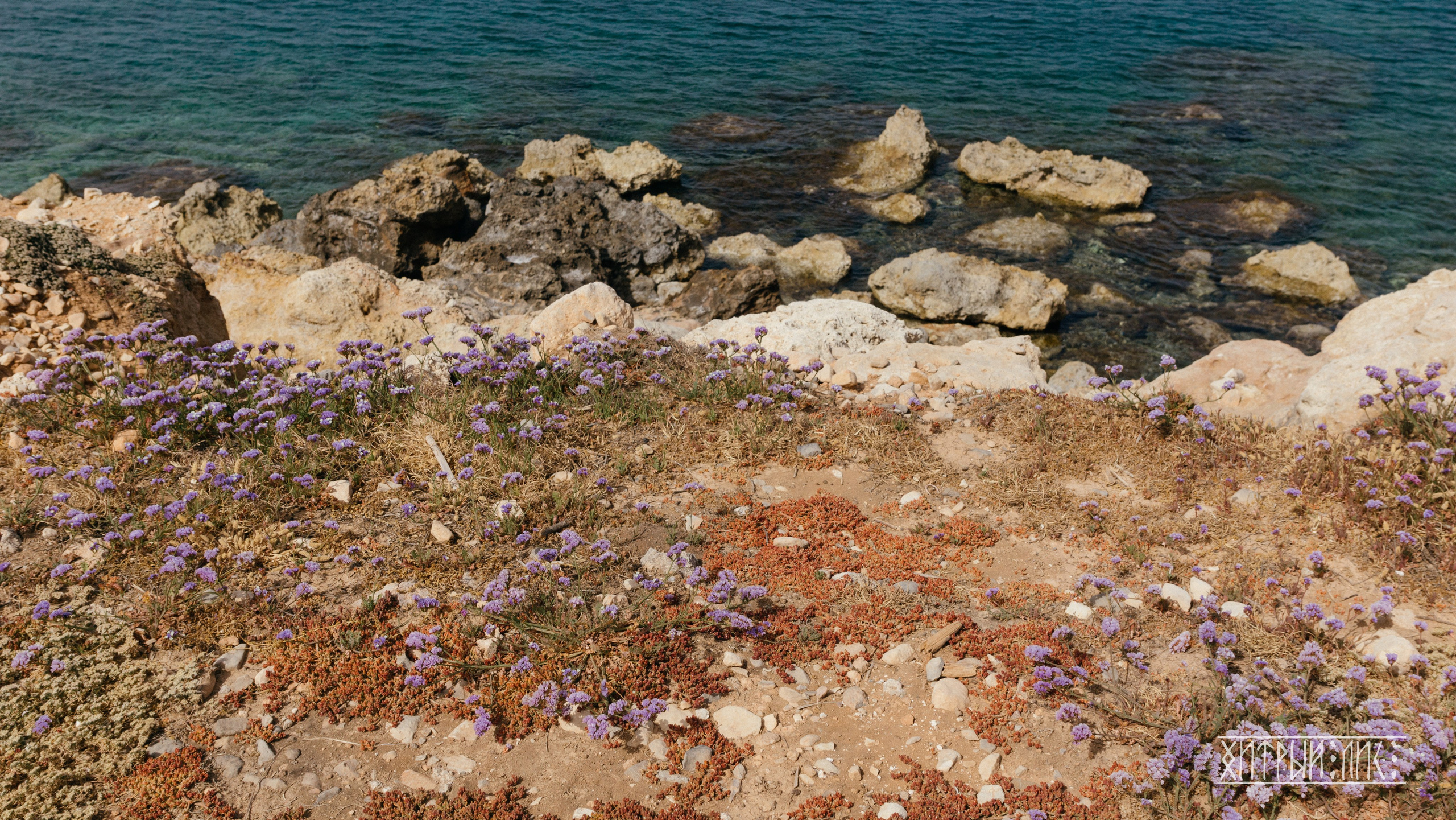 Кипр. Фотограф-путешественник Самойлов Максим «Sly Fox»