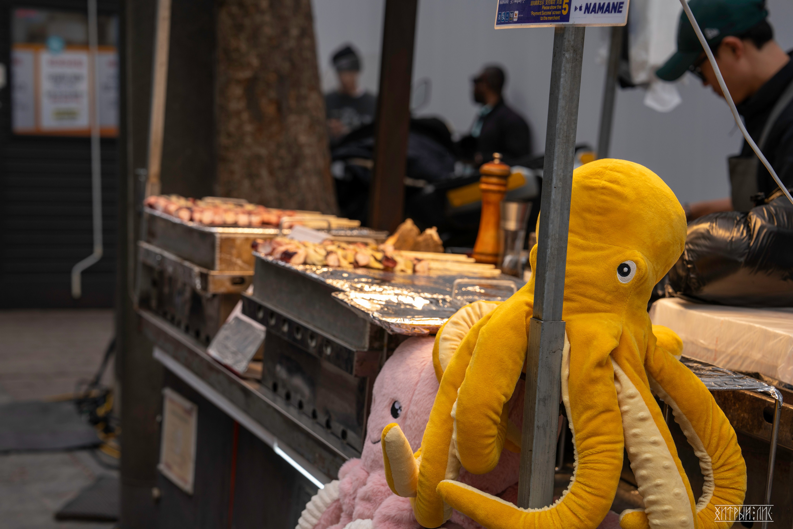 Южная Корея. Фотограф-путешественник Самойлов Максим «Sly Fox»