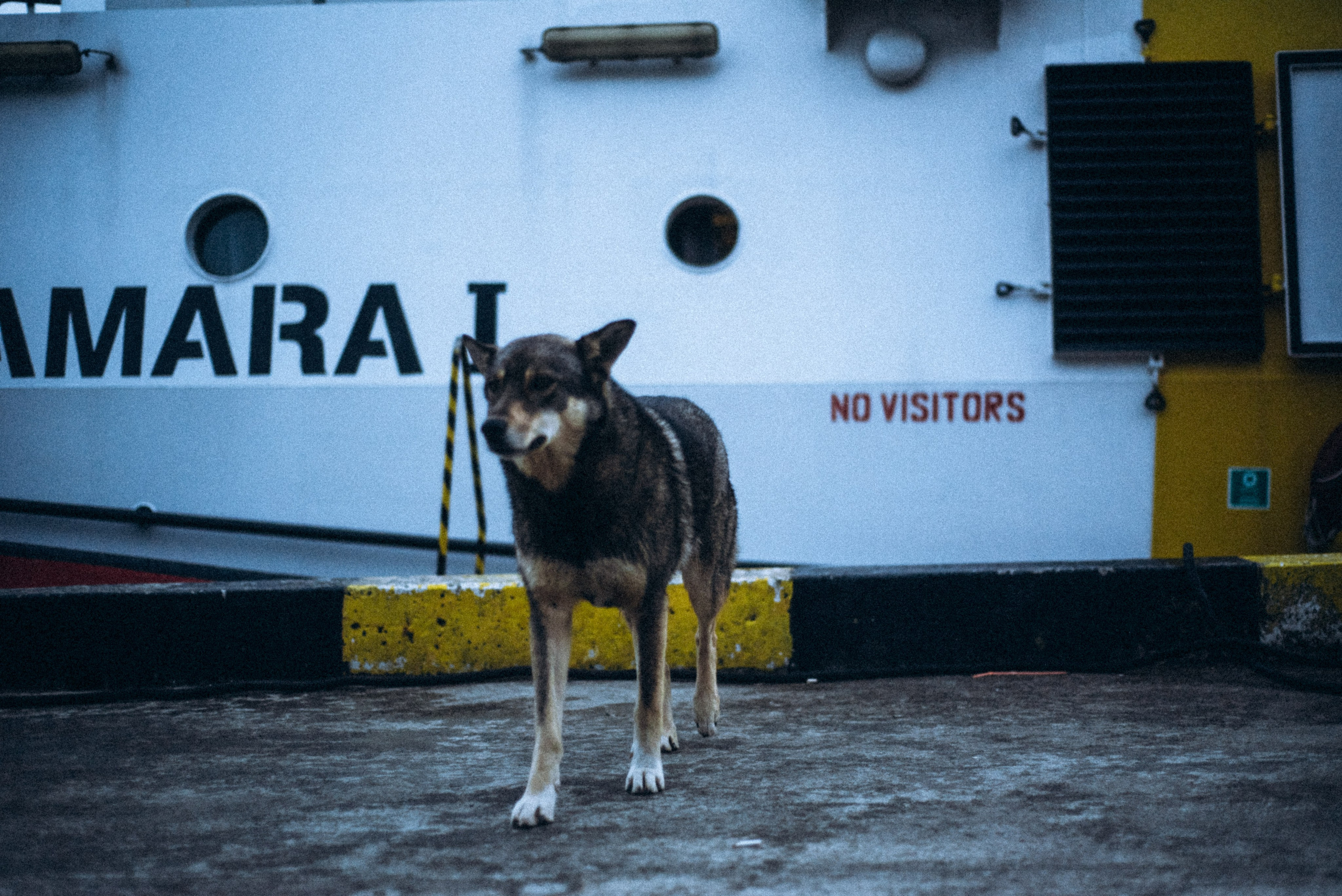 Батуми, Грузия🇬🇪. Anita_photo