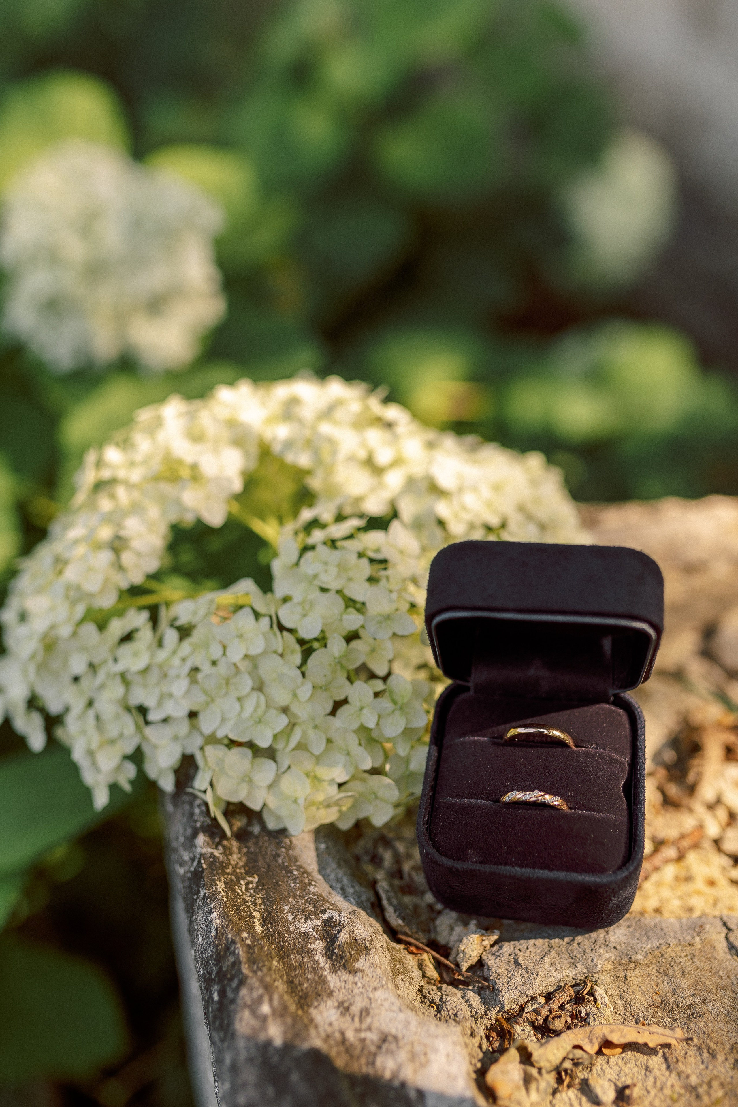 Кутузовский ЗАГС. Семейный фотограф в Москве Анна Пожарская