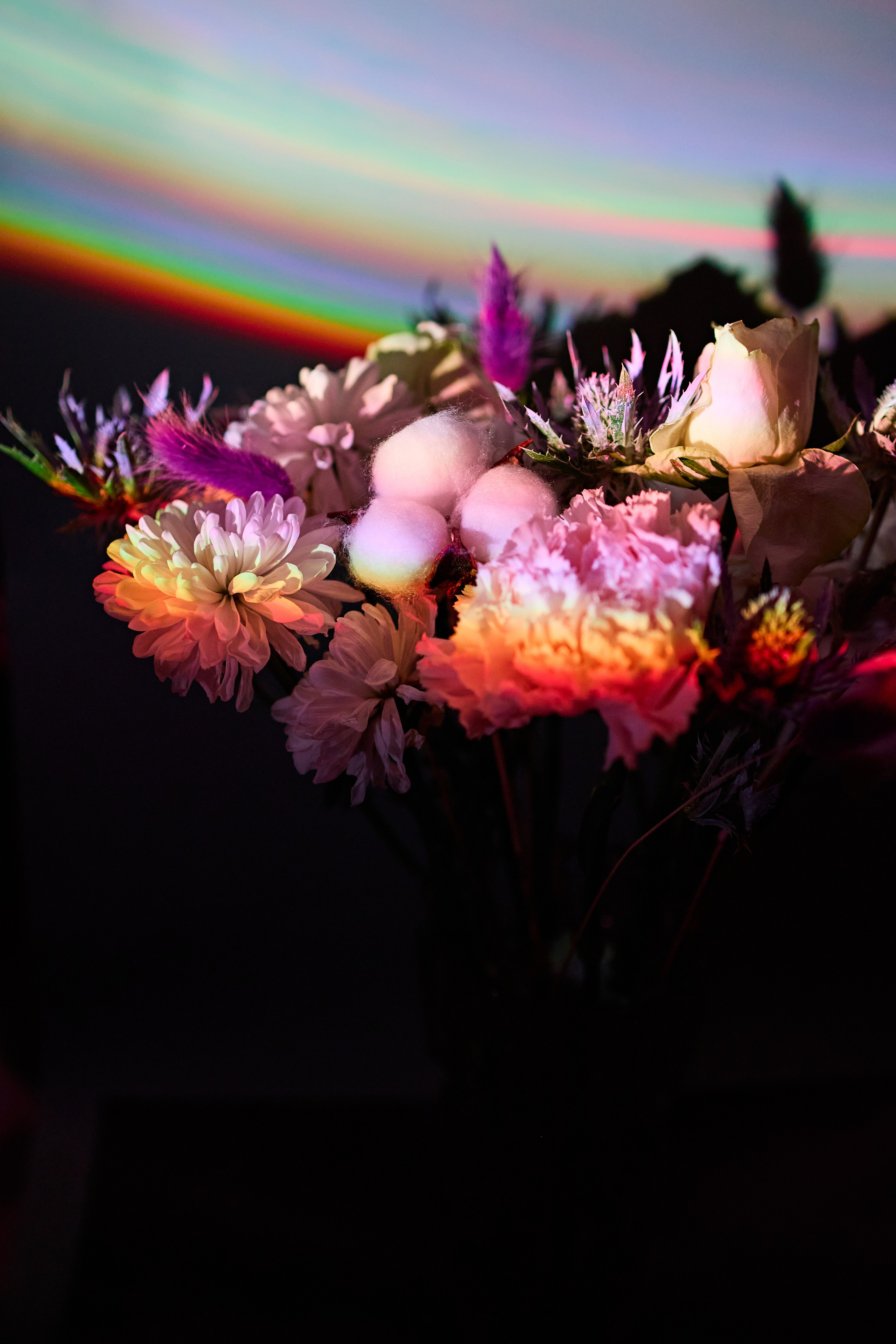 Esthetic. Фотограф Москва / TASIA_ZHUKOVA Photographer Moscow