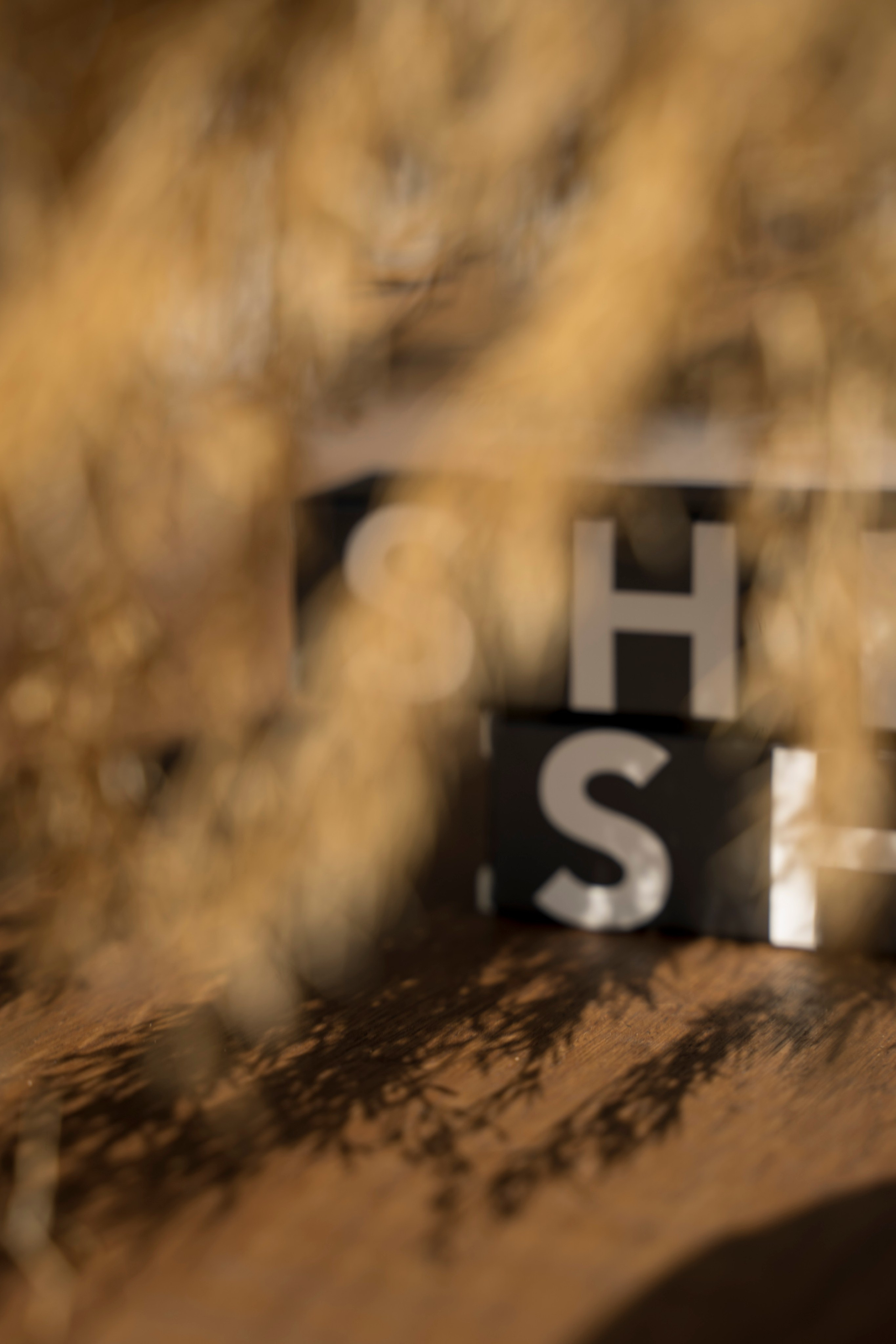 Beauty. Семейный и детский фотограф в Москве