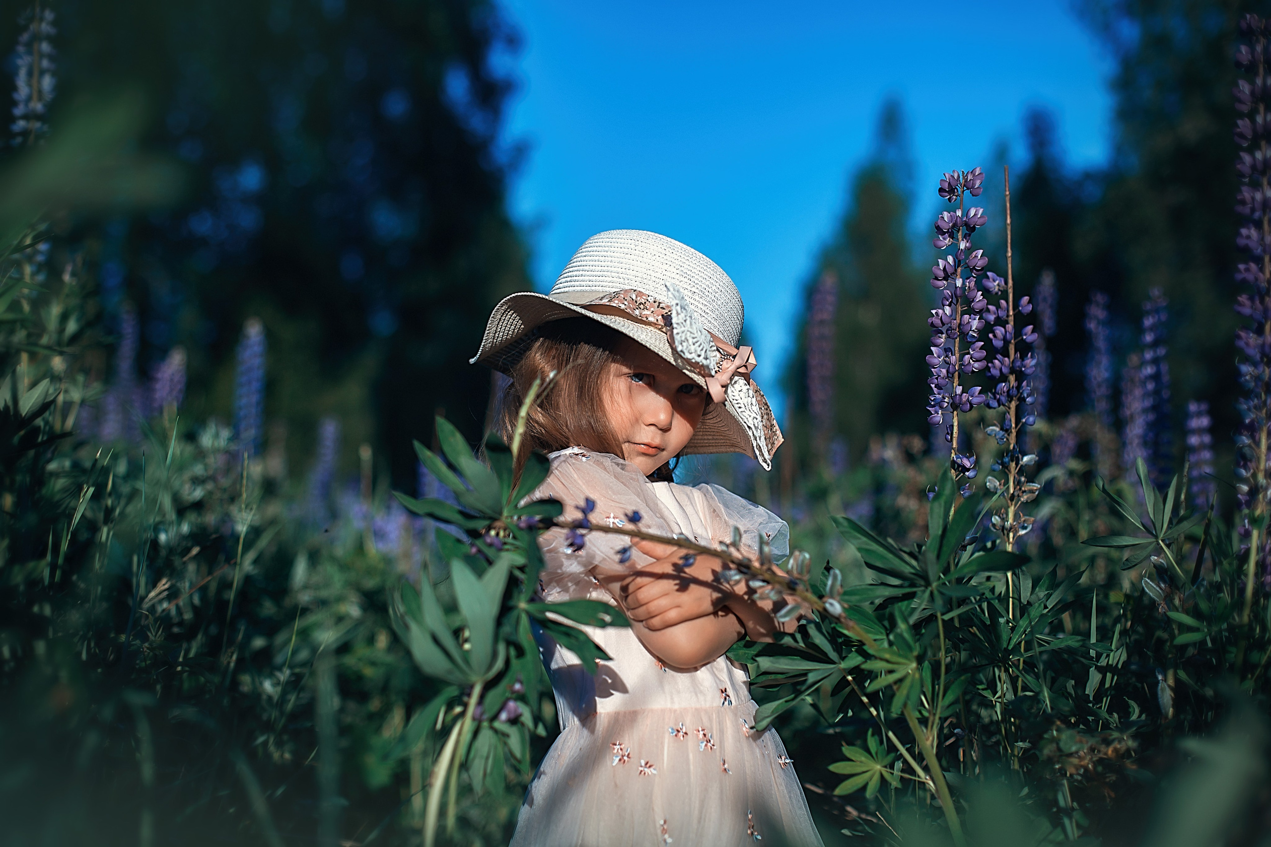 Люпины_Псковская область. Семейный фотограф в Санкт-Петербурге