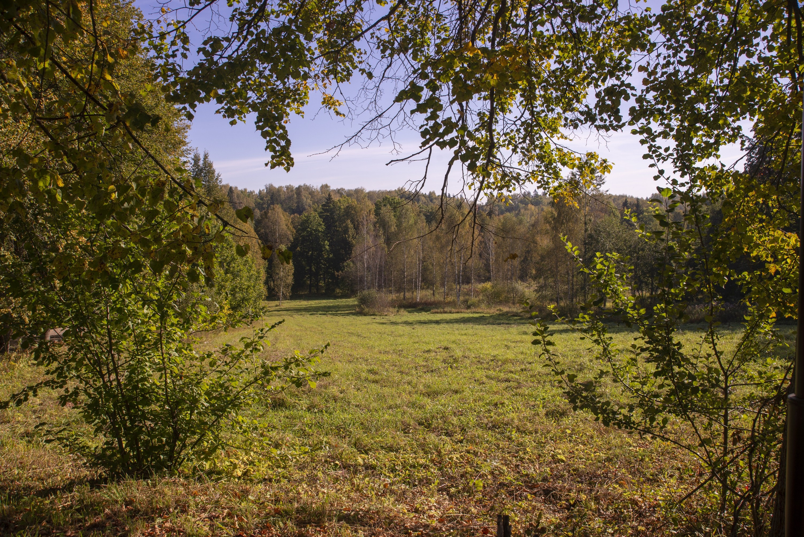 Абрамцево. Сентябрь 2023. Игорь Жучков. Россия увиденная глазами путешествующего фотографа