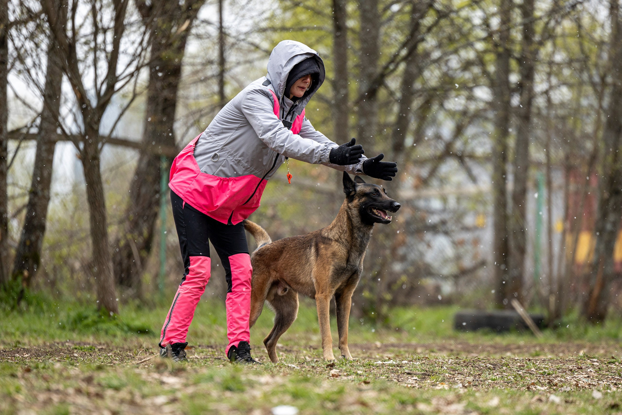Квалификационные состязания по мондьорингу г. Вологда 11.05.24. Фотограф-анималист Анна Маринич
