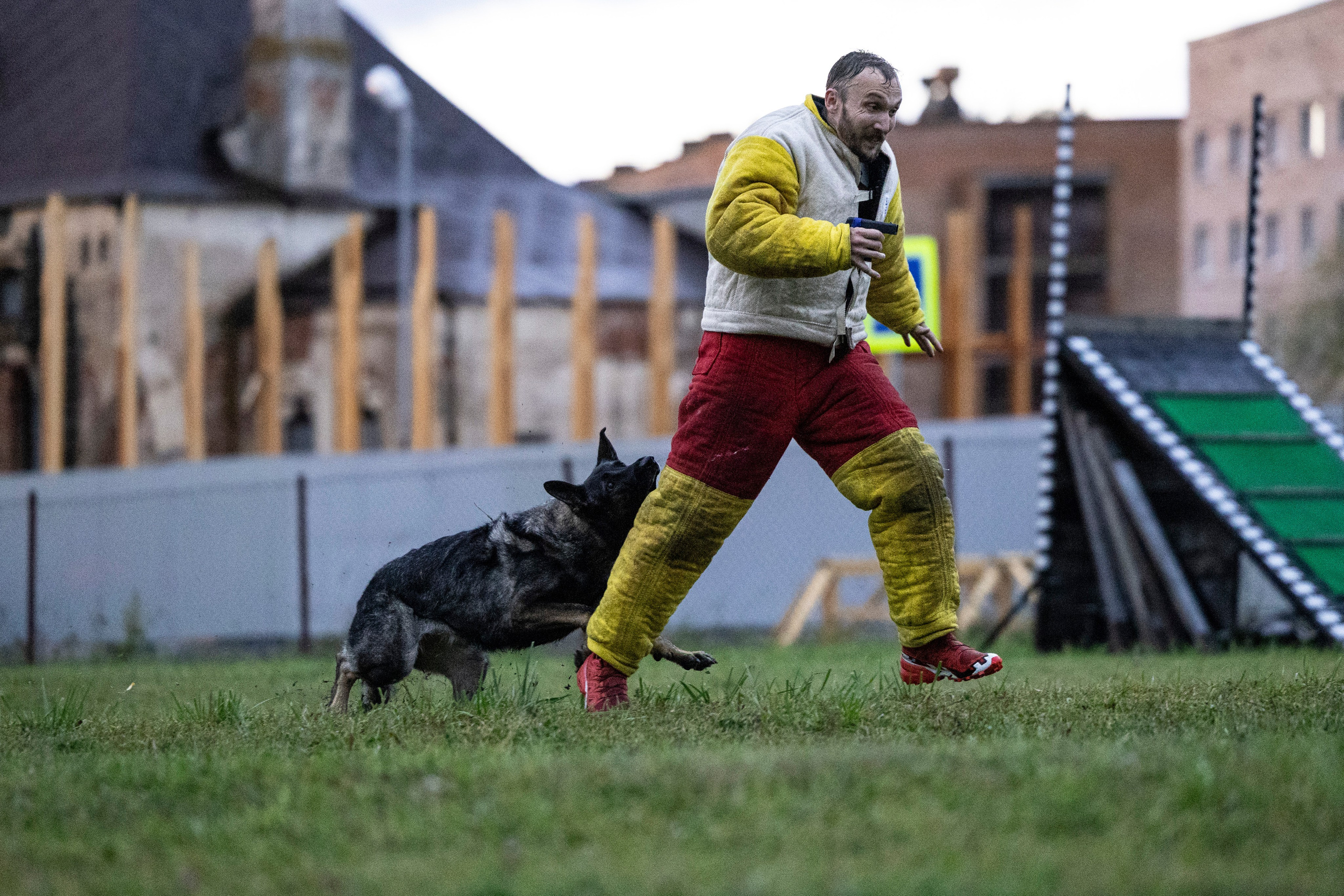 Испытания по Мондьорингу г. Пушкин. Фотограф-анималист Анна Маринич
