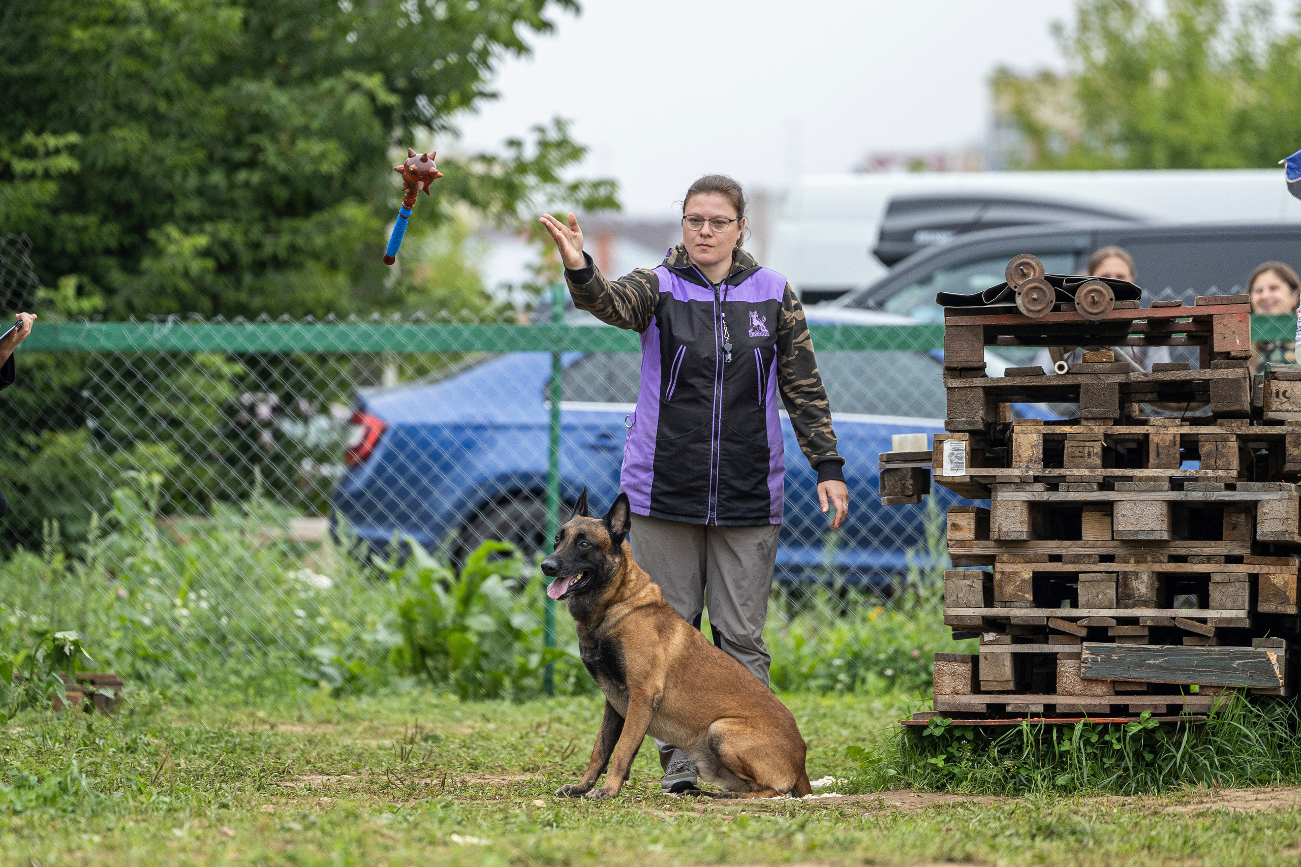 Соревнования по Мондьорингу г. Вологда 10-11.08.2024. Фотограф-анималист Анна Маринич