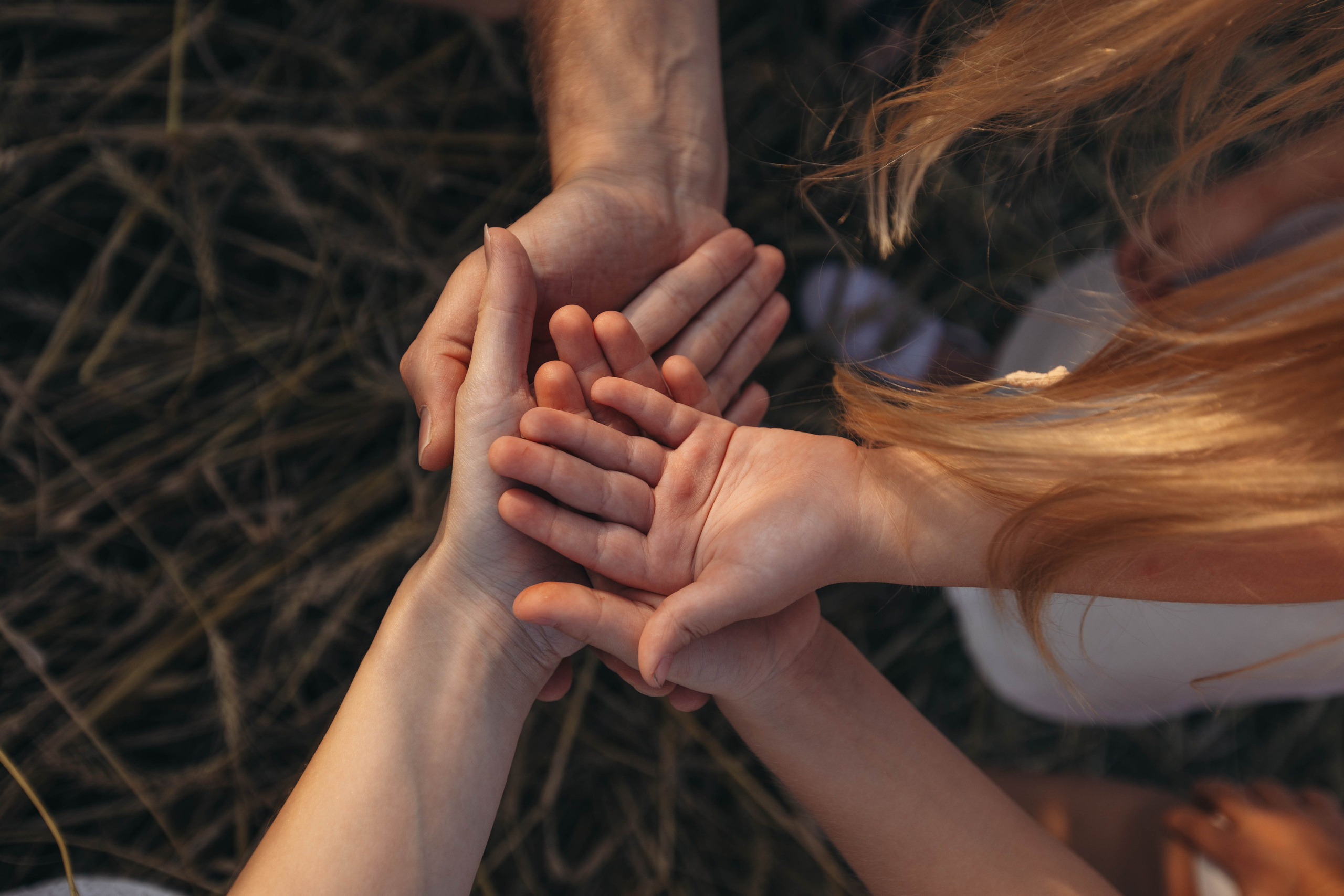 Семейная в полях ♡