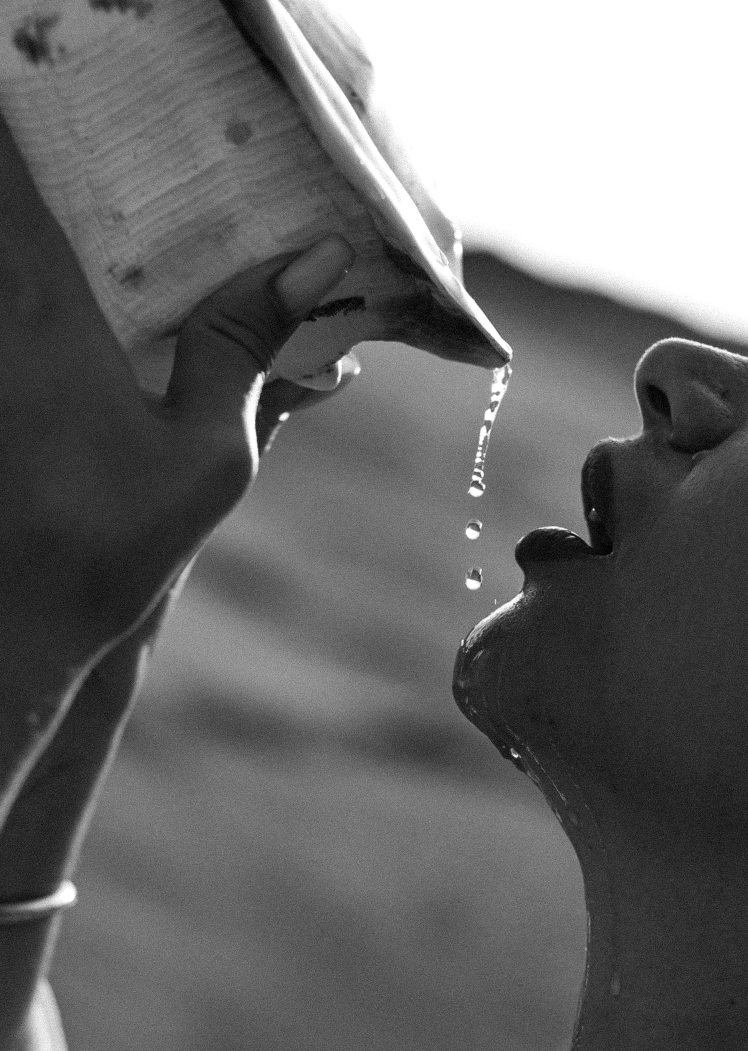 Катя(индивидуальная)