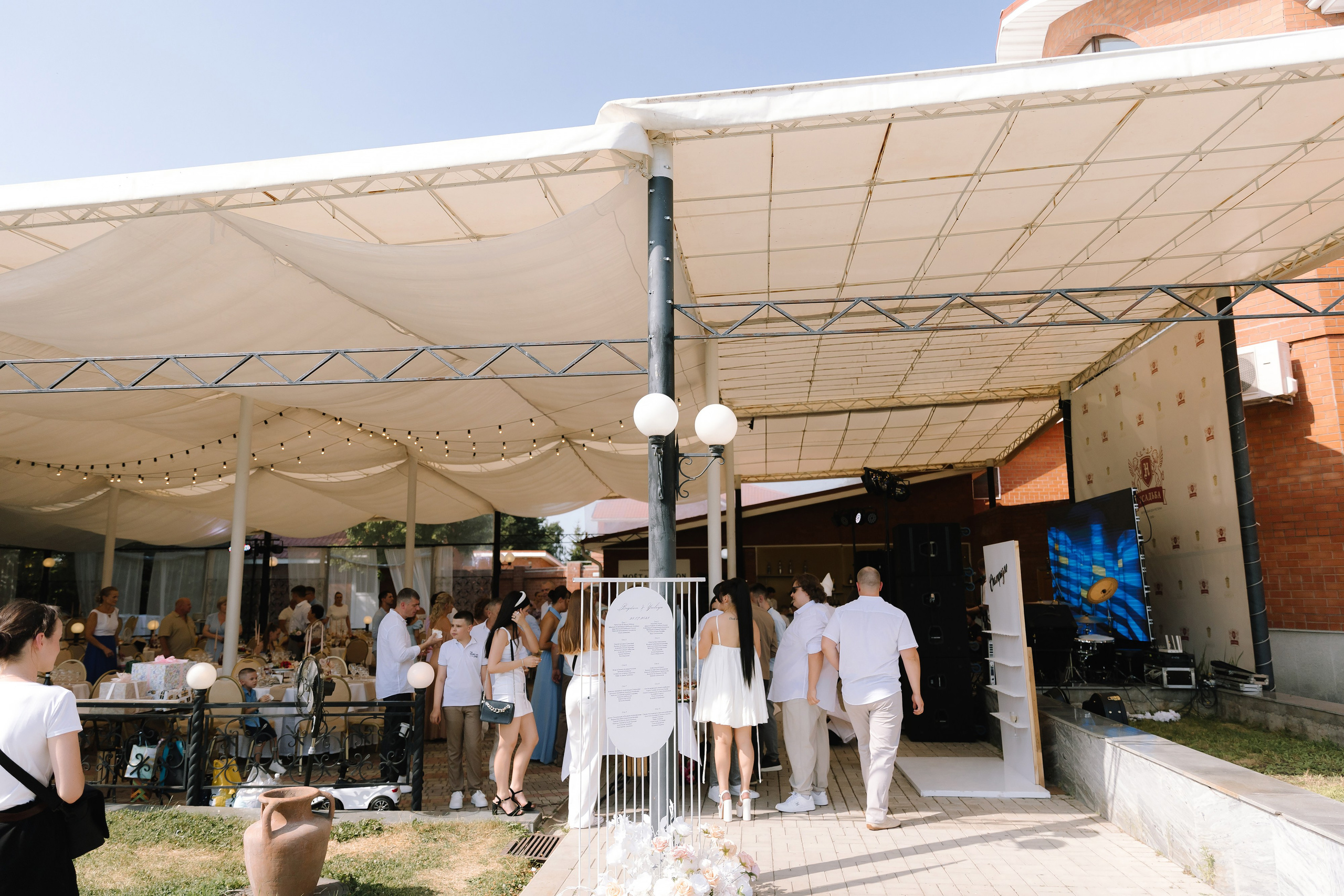 Бабочки. Фотограф Елена Краснопевцева