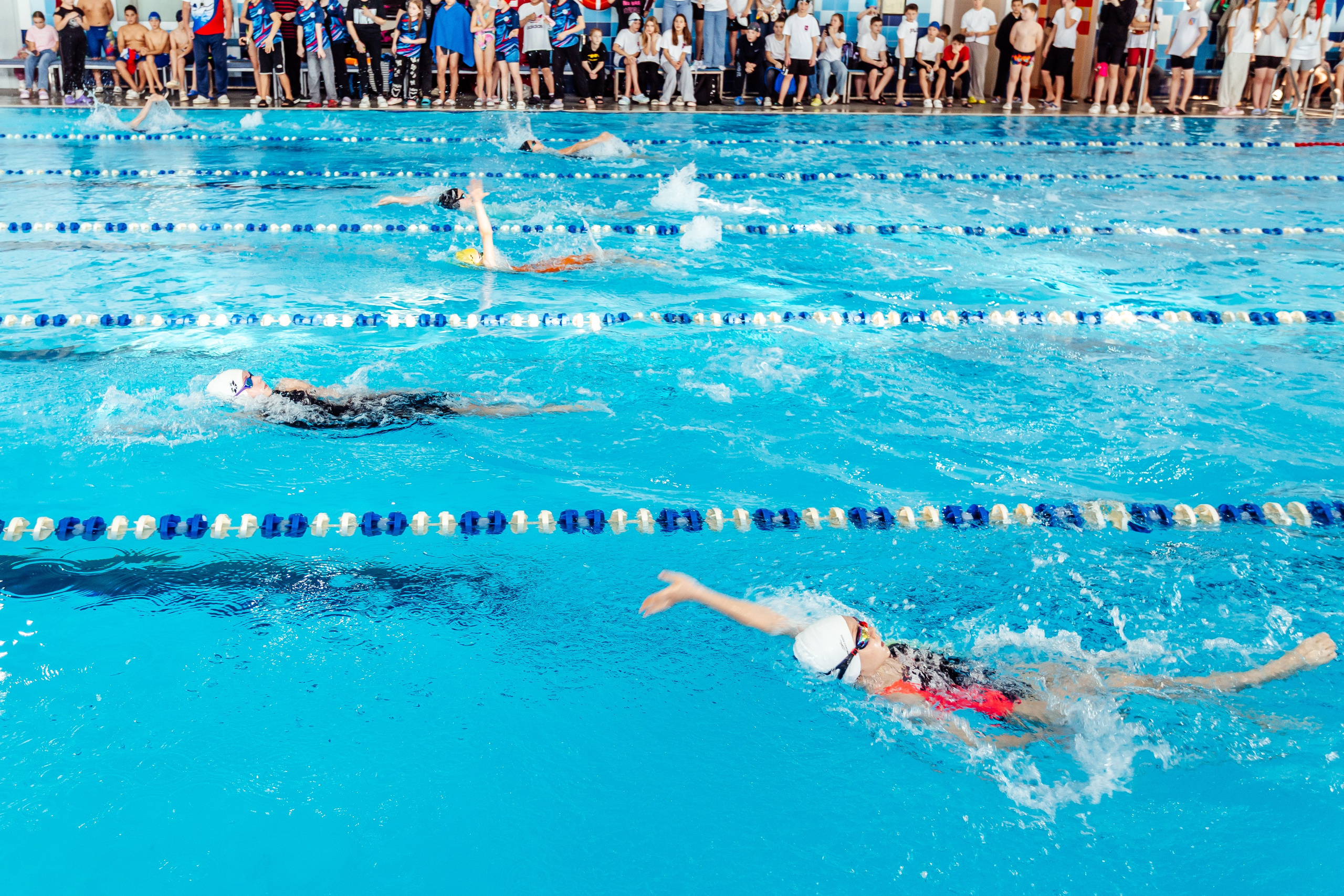 Школа плавания «Виктория». Свадебный фотограф в Краснодаре Николай Крауз