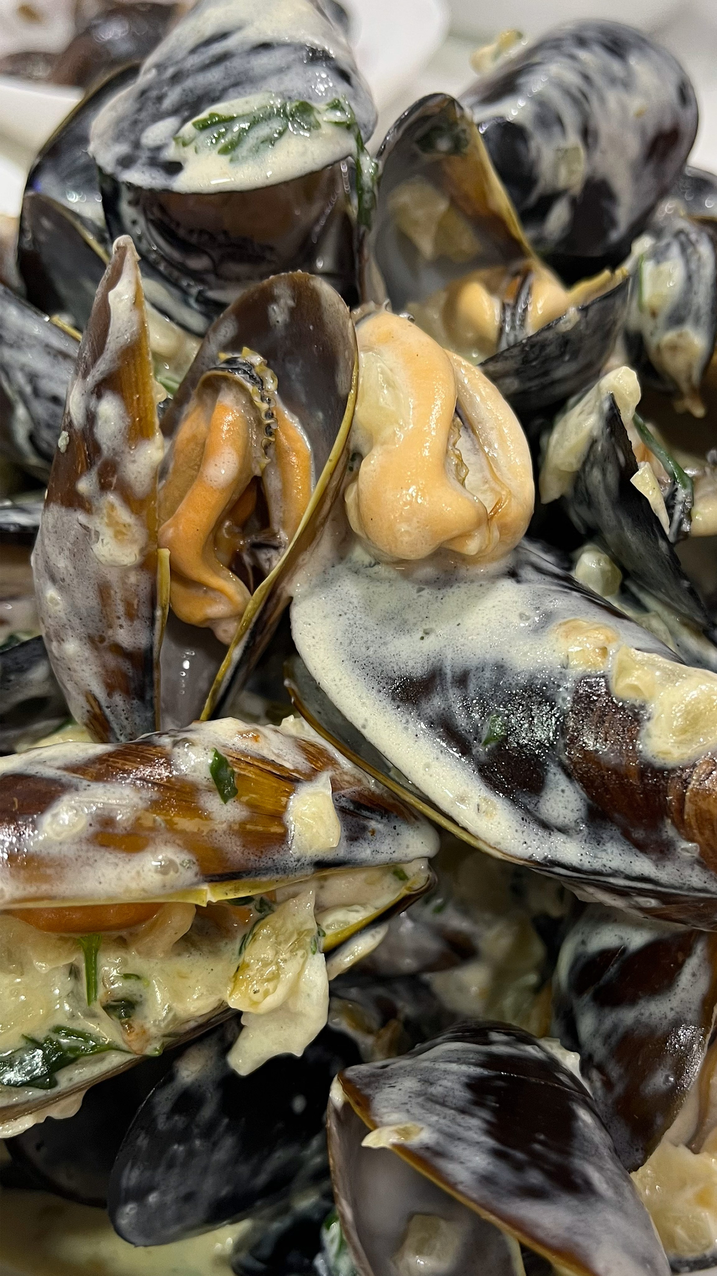 крупный план мидии в сливочном соусе с дор-блю и зеленью