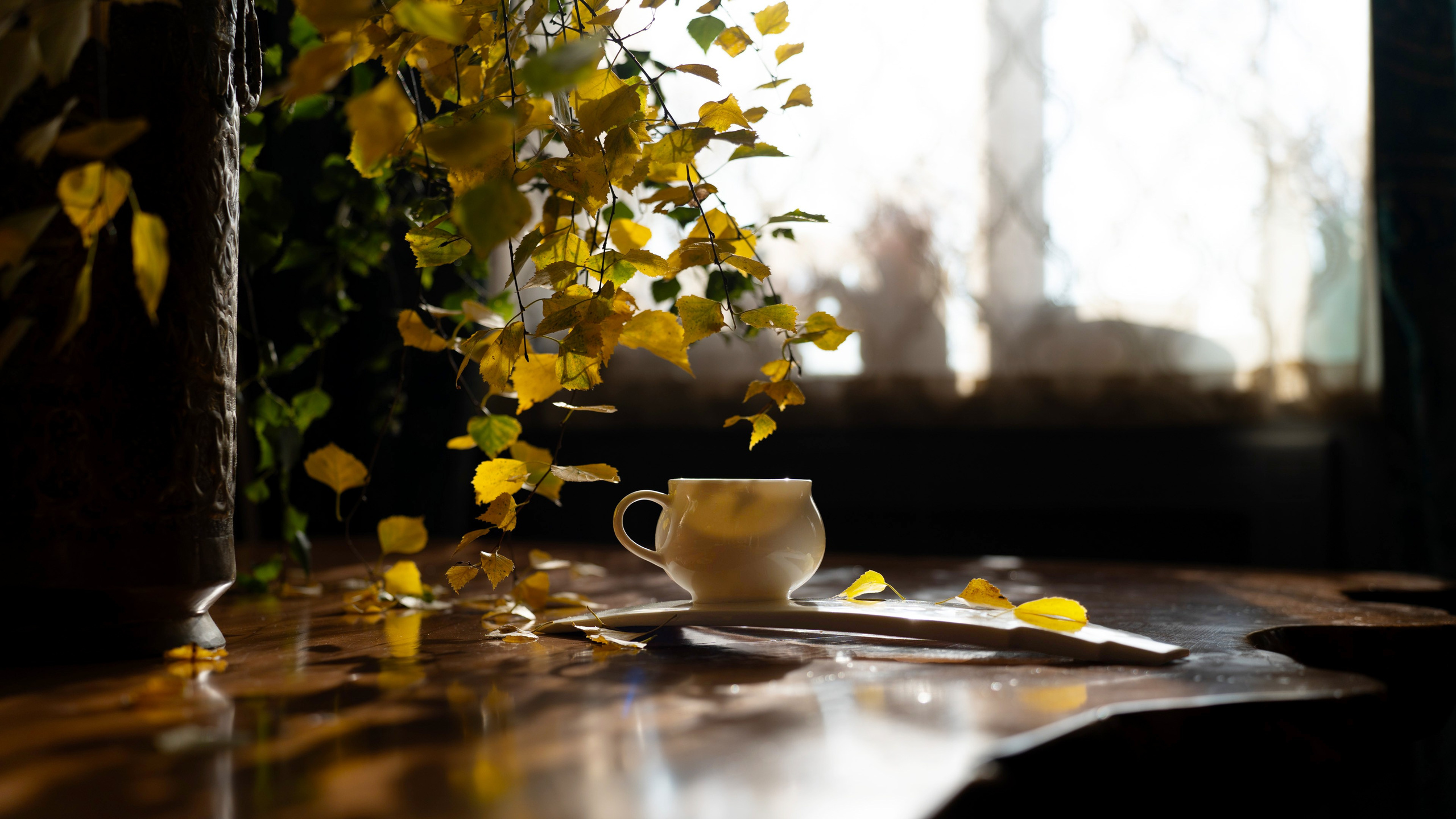 Съемки для бизнеса в Москве