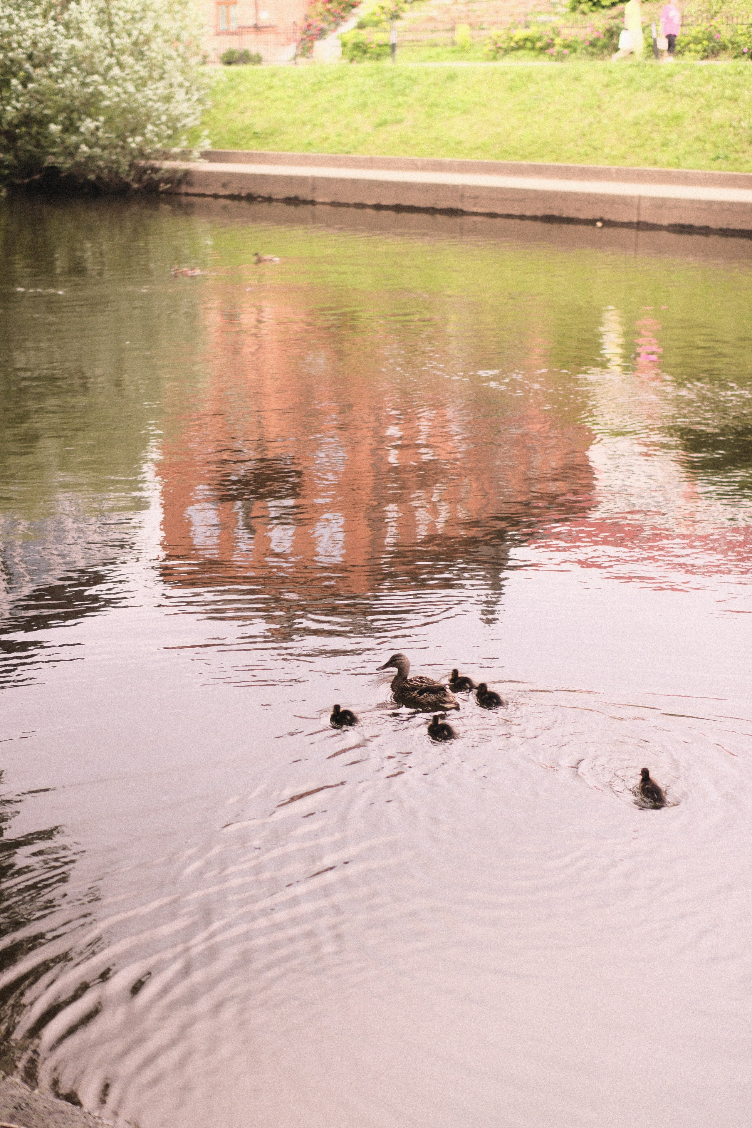 Поездка в Екатеринбург. Фотограф/Видеограф из Саратова