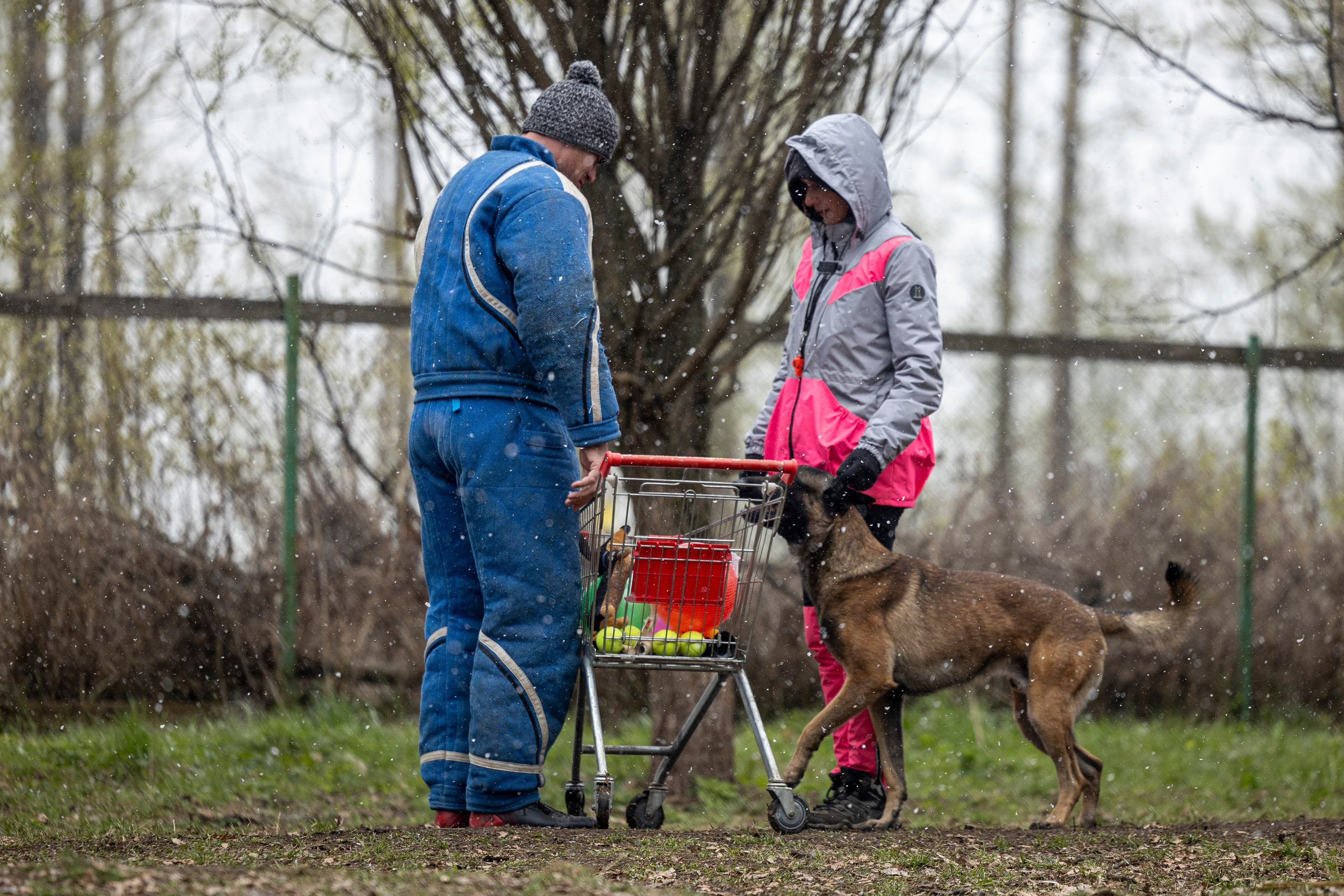 Квалификационные состязания по мондьорингу г. Вологда 11.05.24. Фотограф-анималист Анна Маринич