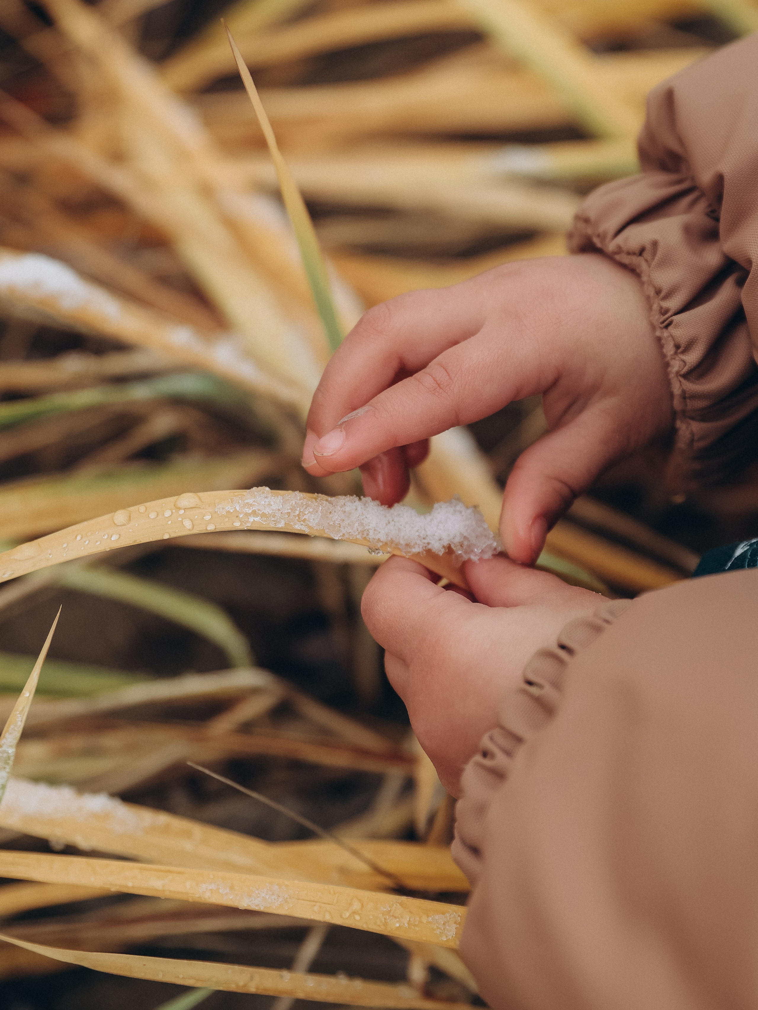Осень для троих. Мультифотограф Динара Ахмедзянова