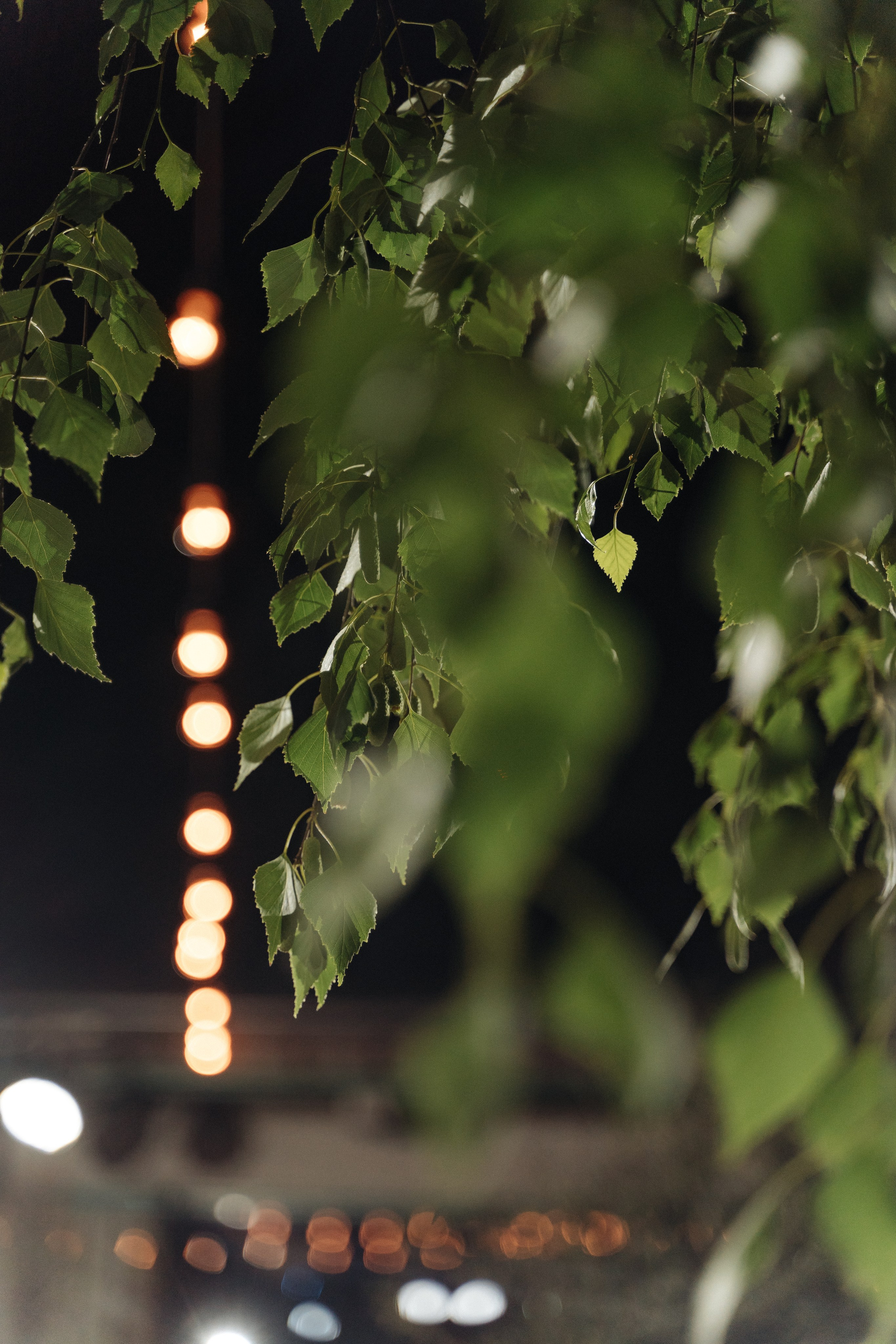 Д & A. Свадебный фотограф  Ростов-на-Дону Моска, Санкт — Петербург