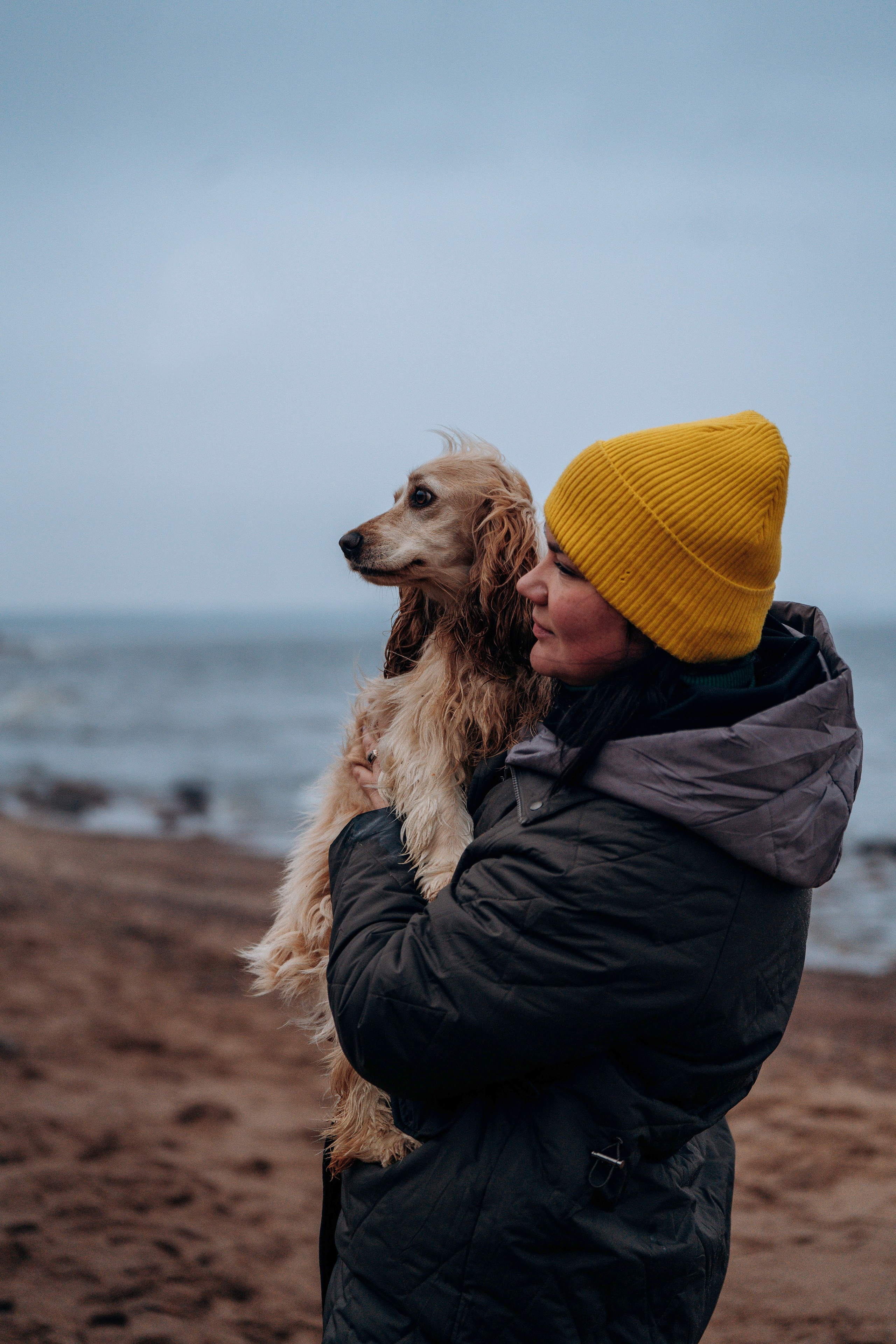 Асти, Крис и Александра. Фотограф анималист в Спб недорого Олеся Майорова