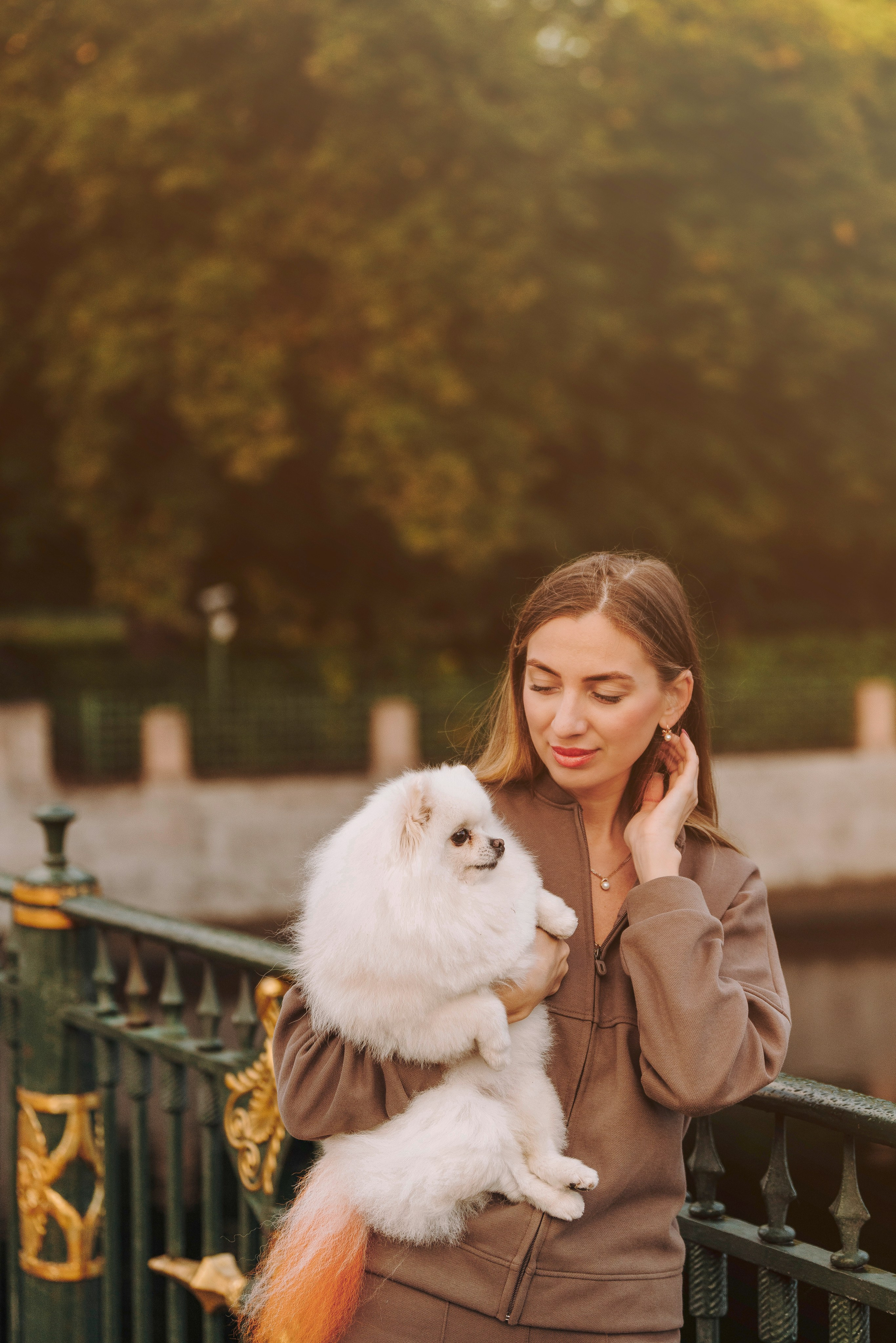 Фотосессия с померанским шпицем. Фотограф анималист в Спб недорого Олеся Майорова