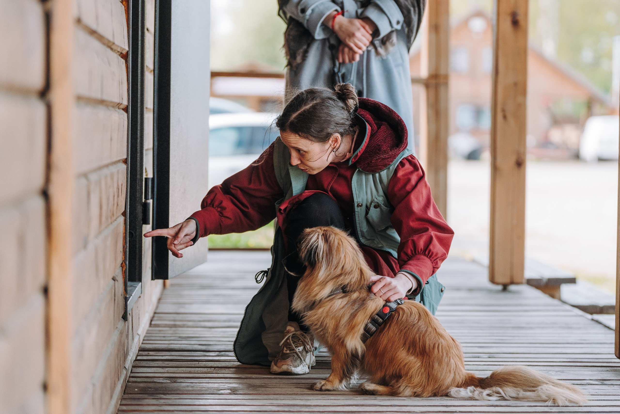 Соревнования по ноузворку в Лосево. Фотограф анималист в Спб недорого Олеся Майорова