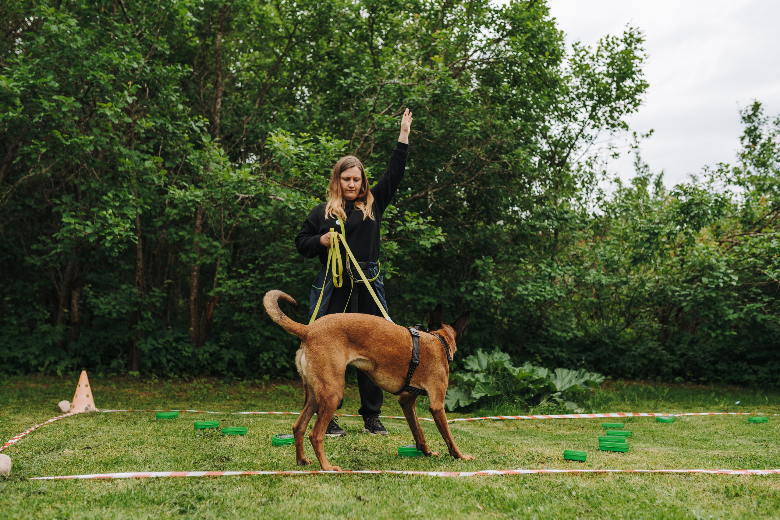 Соревнования по ноузворку. Фотограф анималист в Спб недорого Олеся Майорова