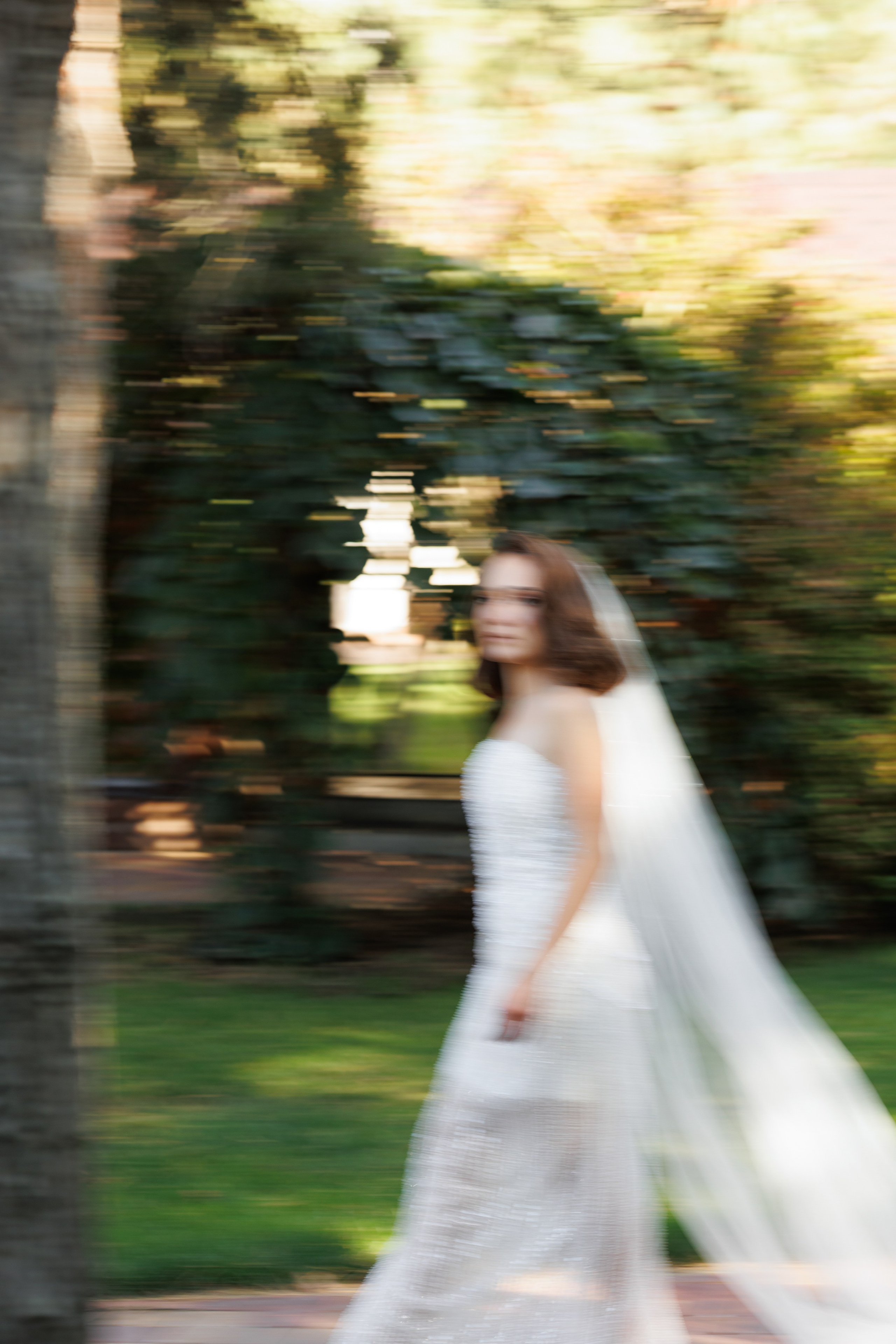 Ксения&Максим. Свадебный фотограф в Ростове-на-Дону Базарова Анастасия