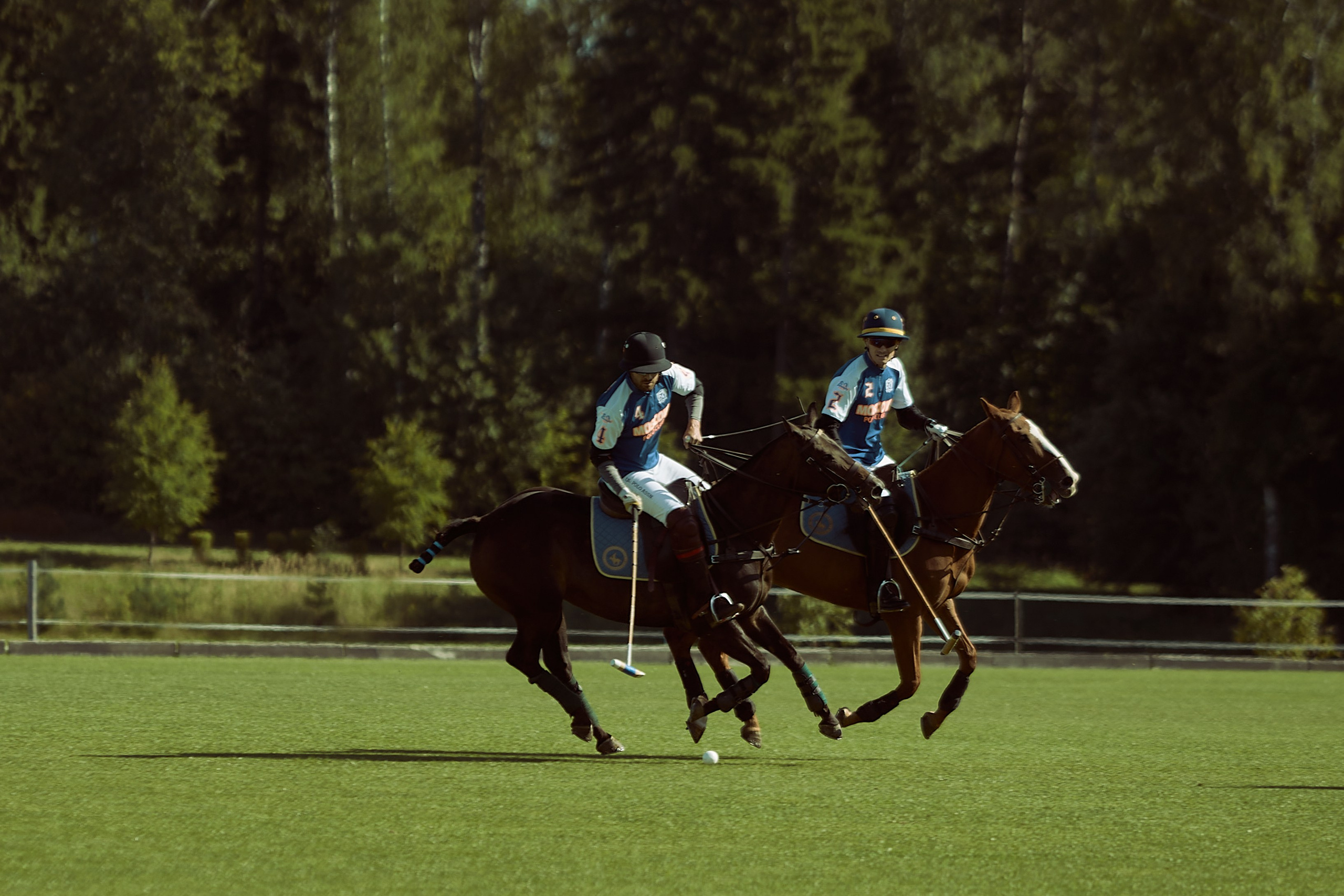 HORSE POLO. Фотограф Наталья Леонова