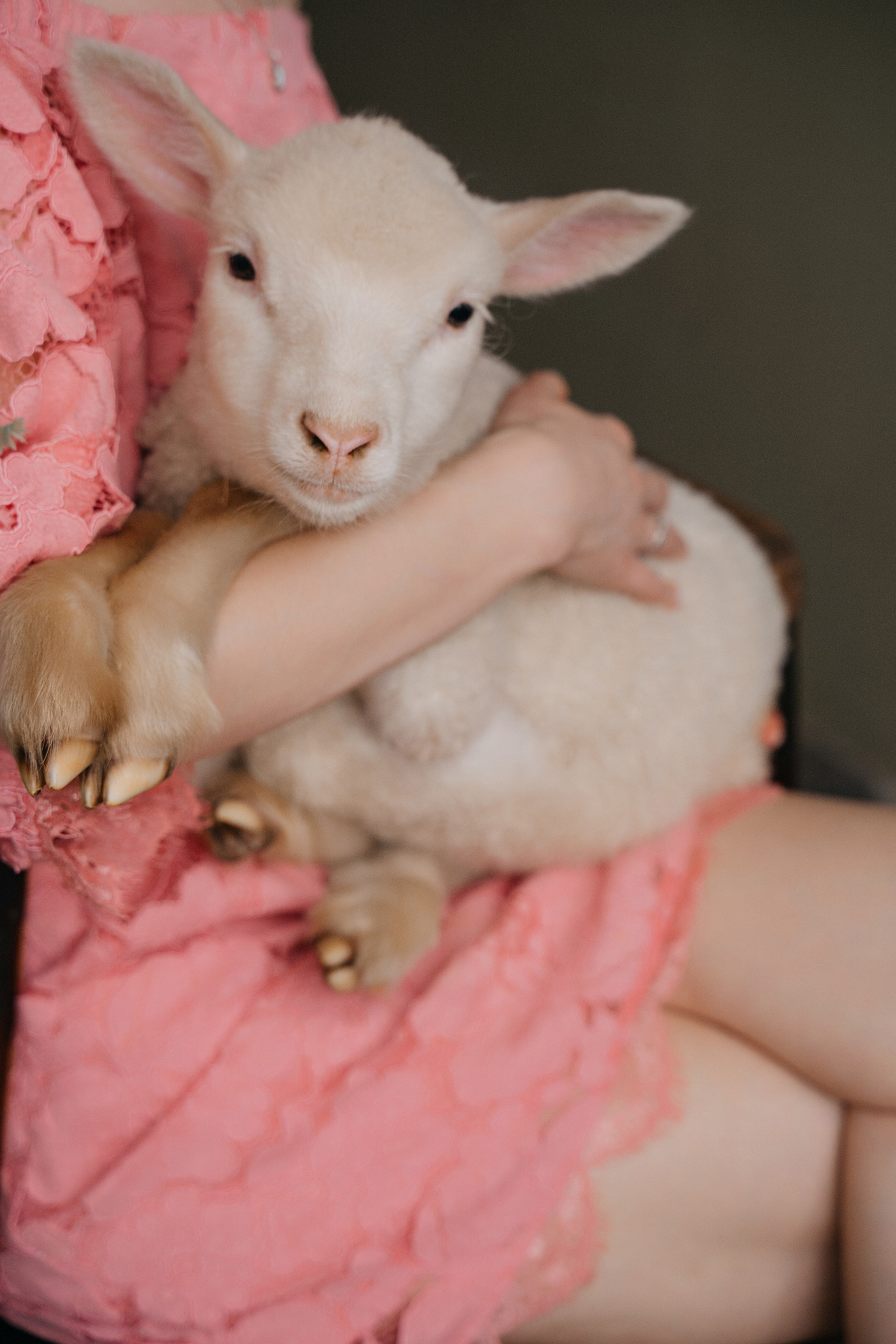 Фотодень «Утята». Свадебный фотограф