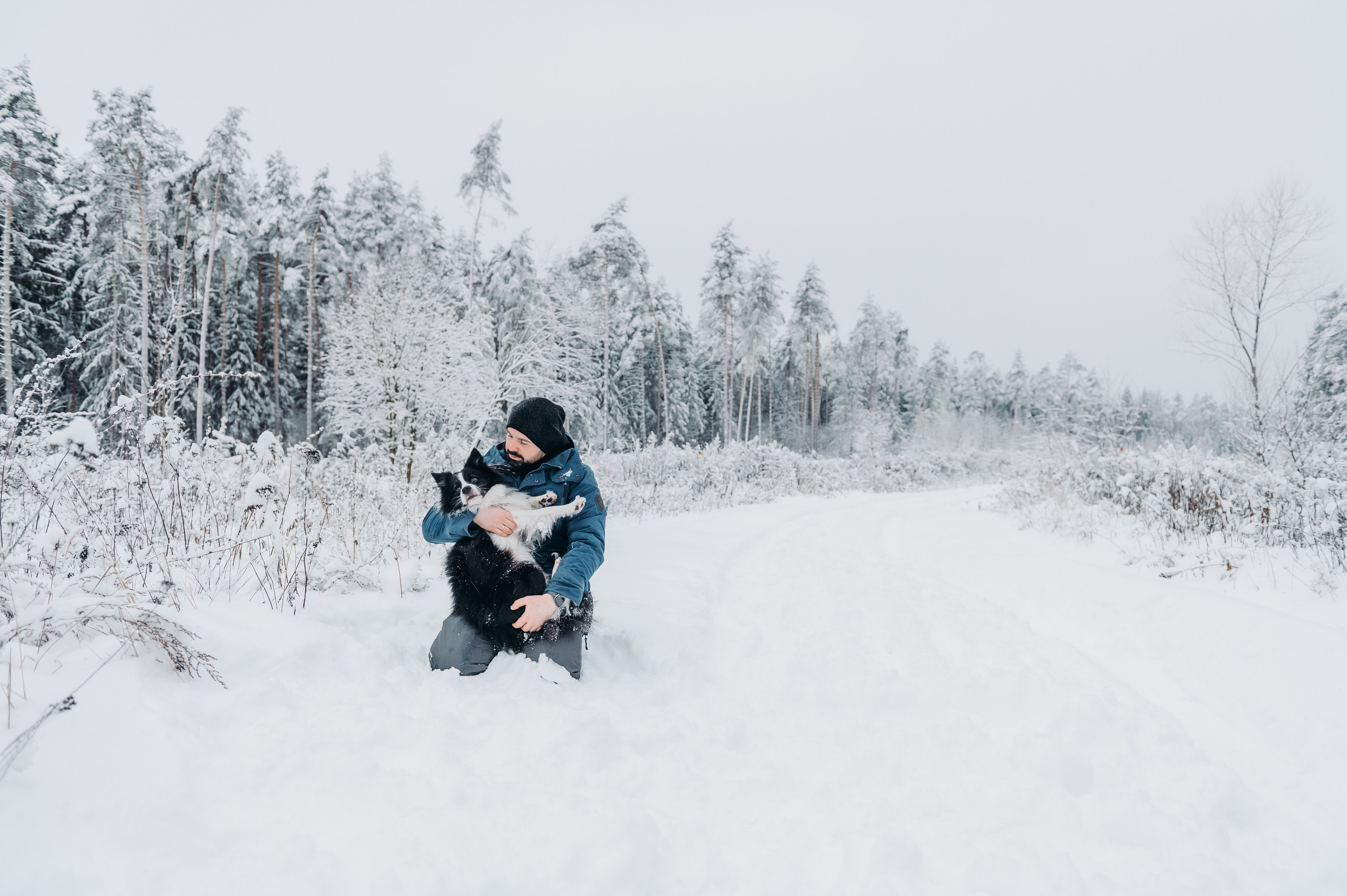 Снежная прогулка. Главная