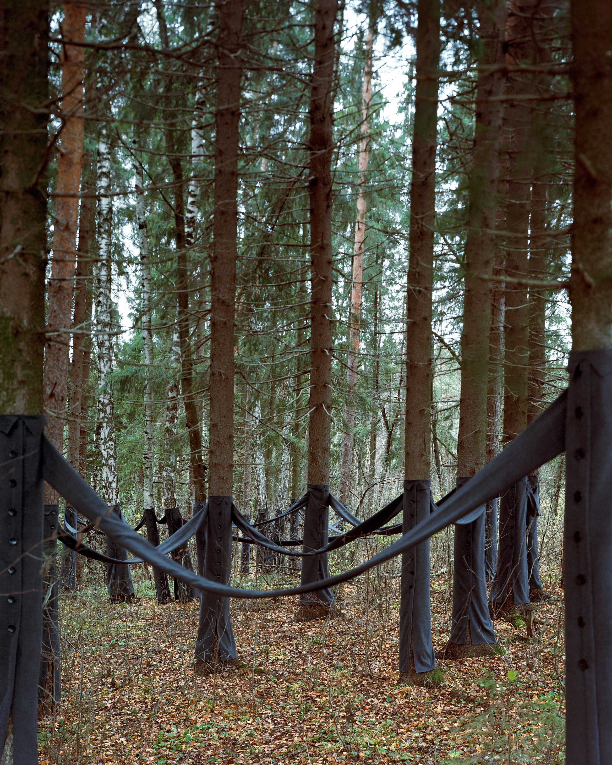 Natalia Tabakova art