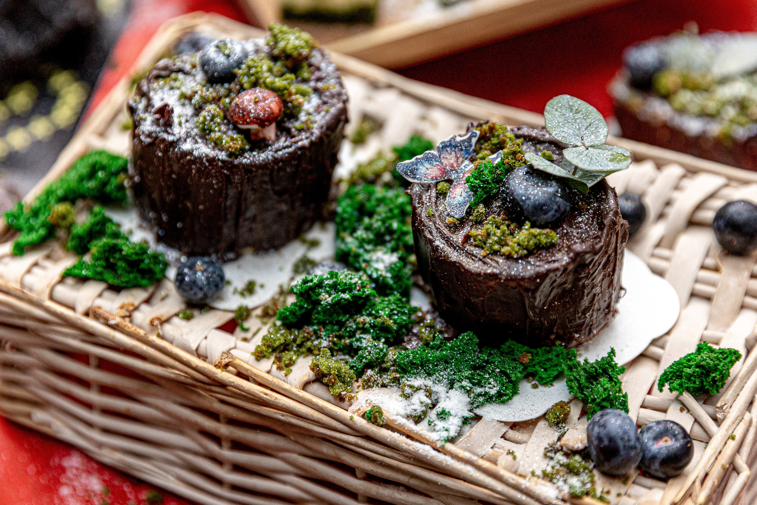 Мероприятия. Фотограф в Красноярске