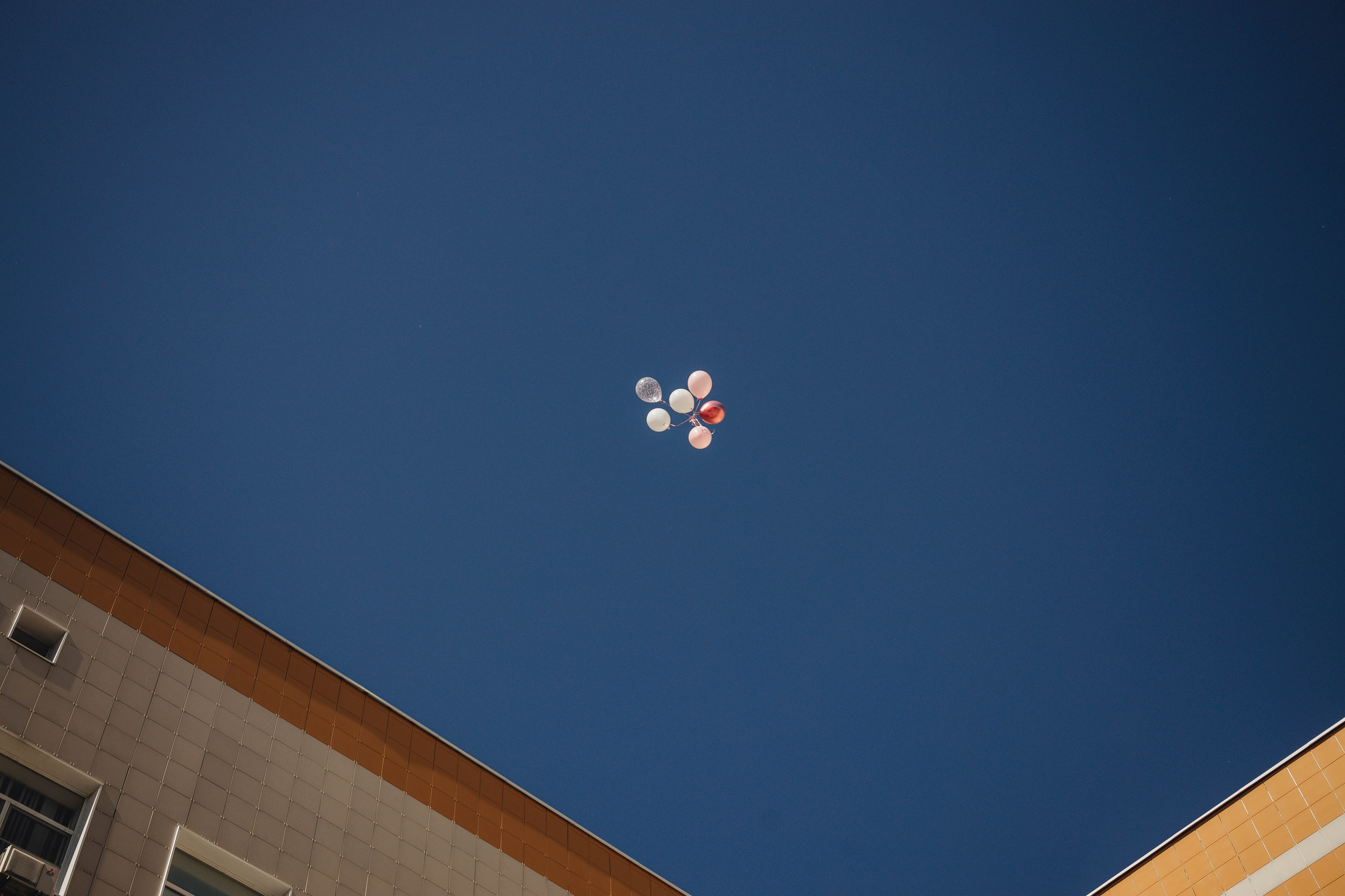 Выписка Ники. Свадебный и семейный фотограф Пушкин Царское Село СПБ Питер Санкт-Петербург и Рязань Ольга Козлова