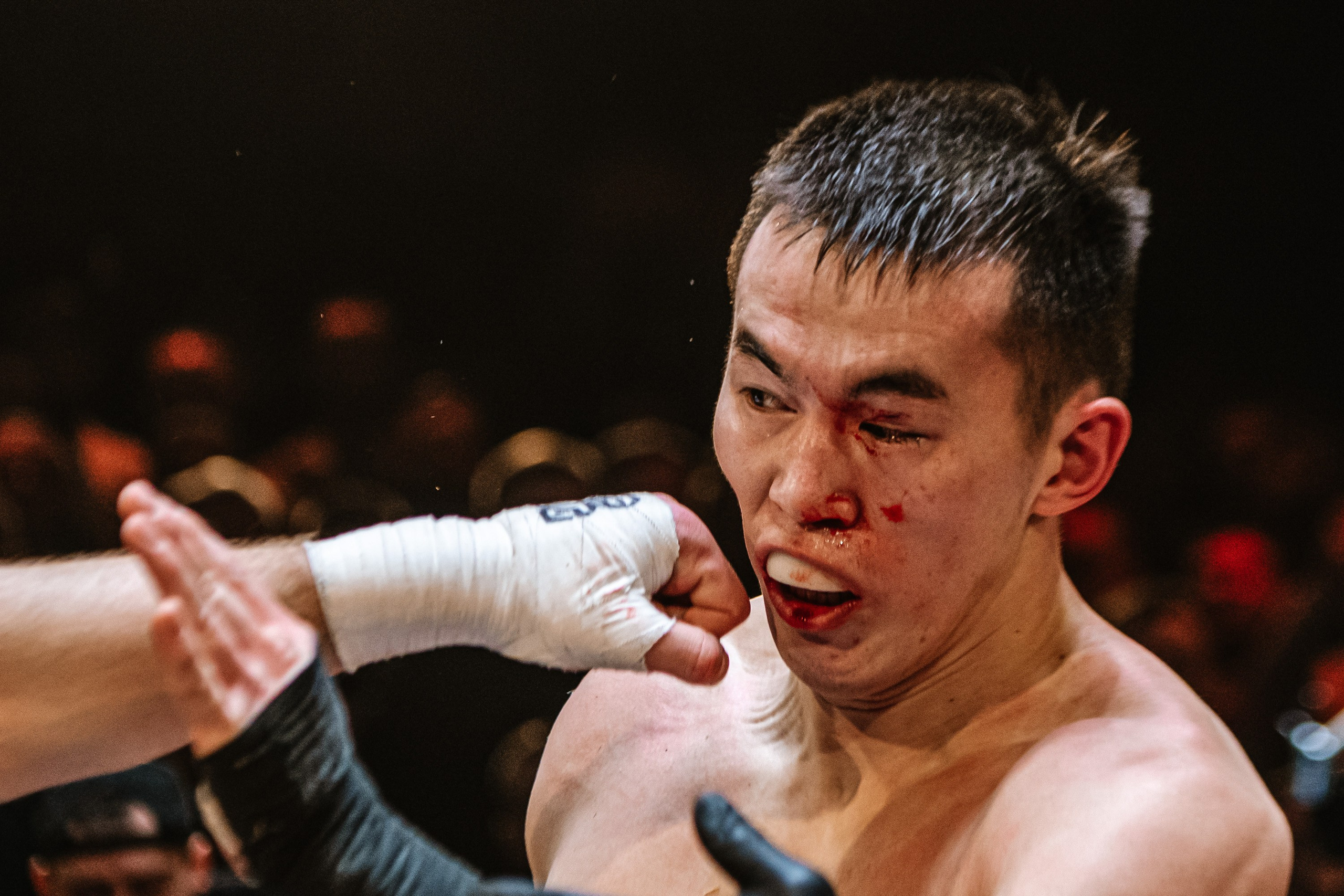 TOP DOG 2. Максим Комаров — Профессиональный фотограф