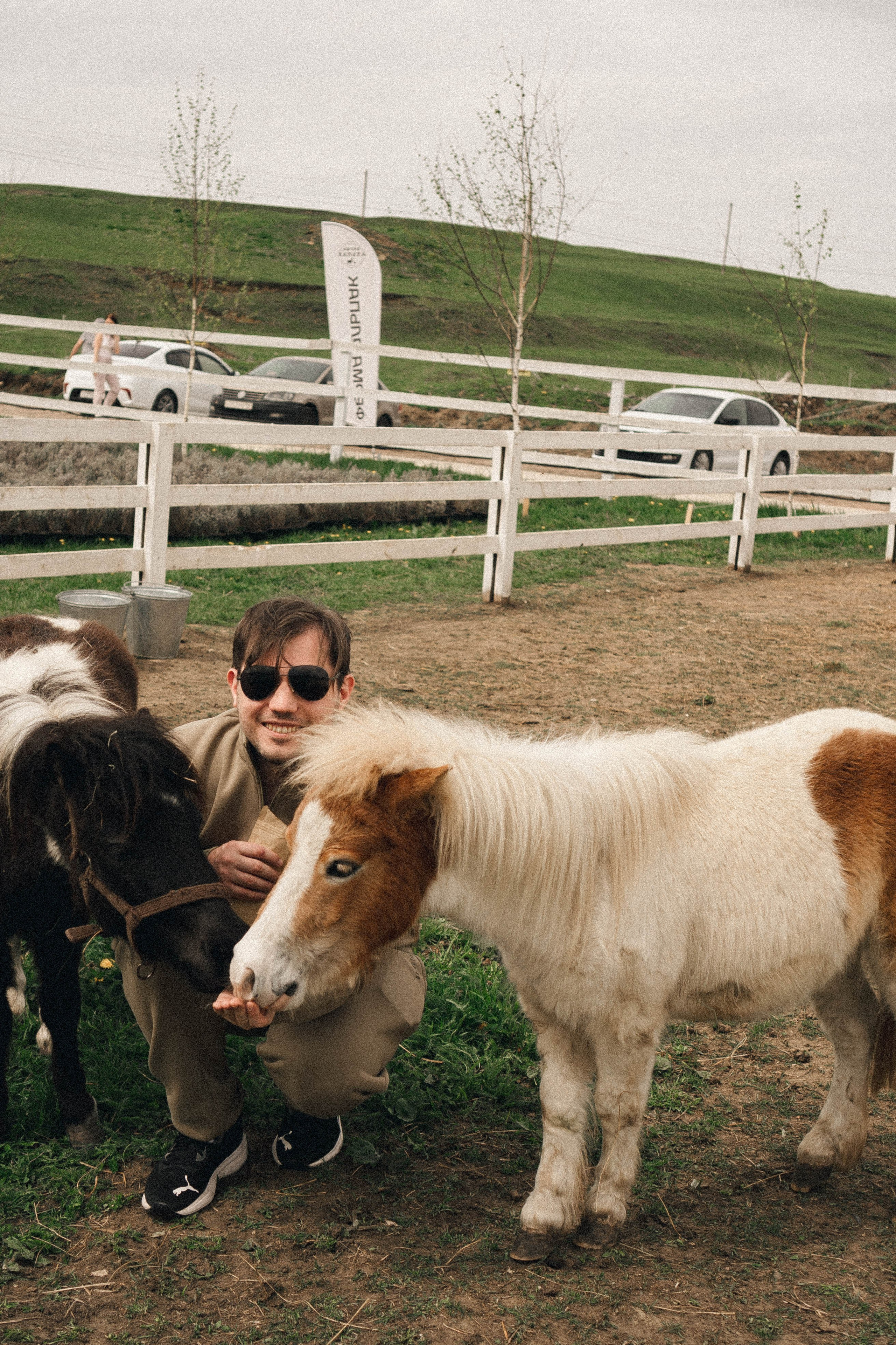 Ферма Альпак. Профессиональный фотограф, Санкт-Петербург — Виктория Богомолова