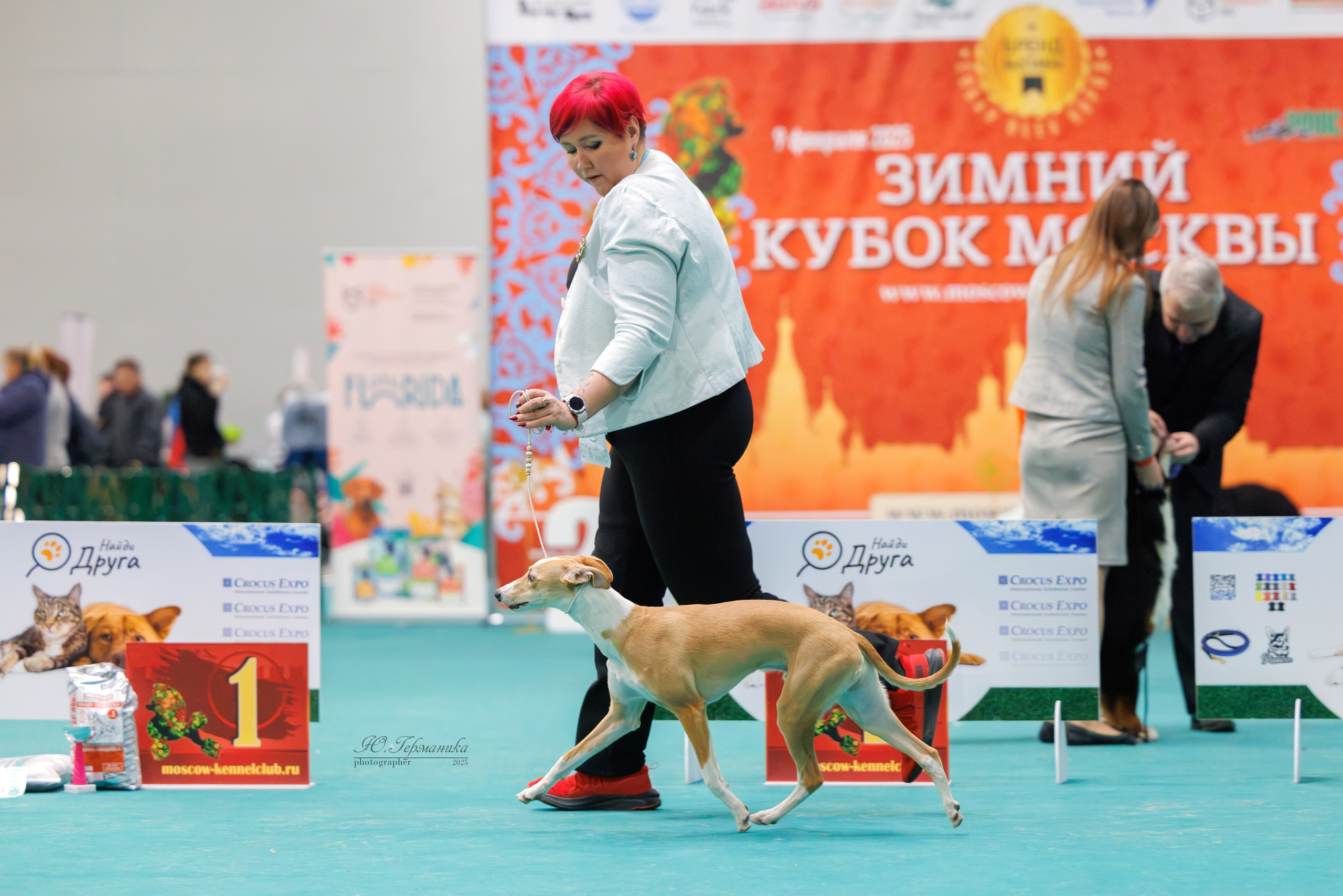 Гран-При 8.02.2025 и Крокус 09.02.2025. Фотограф-анималист Юлия Германика