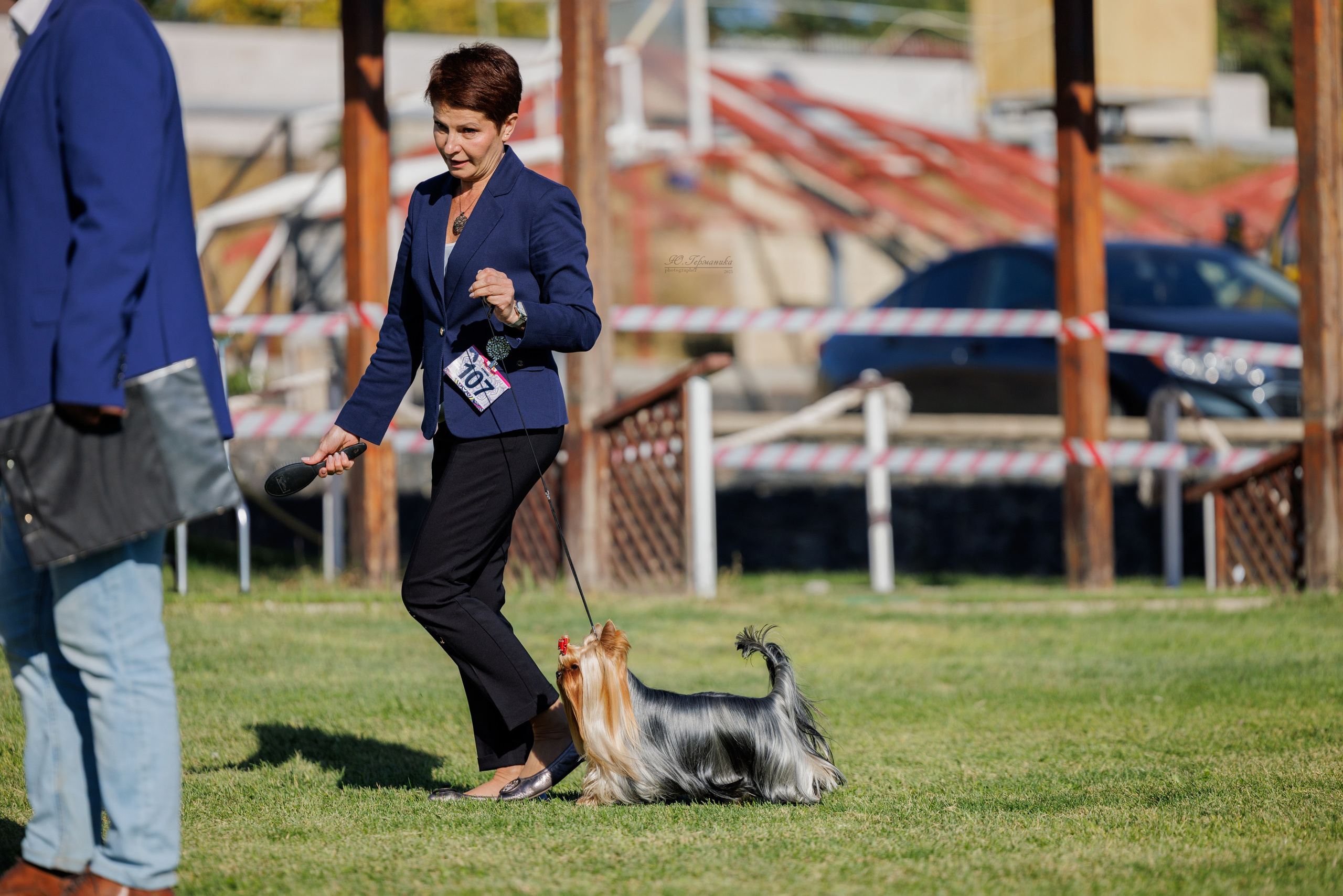 Ереван 14-16.10.2025. Фотограф-анималист Юлия Германика