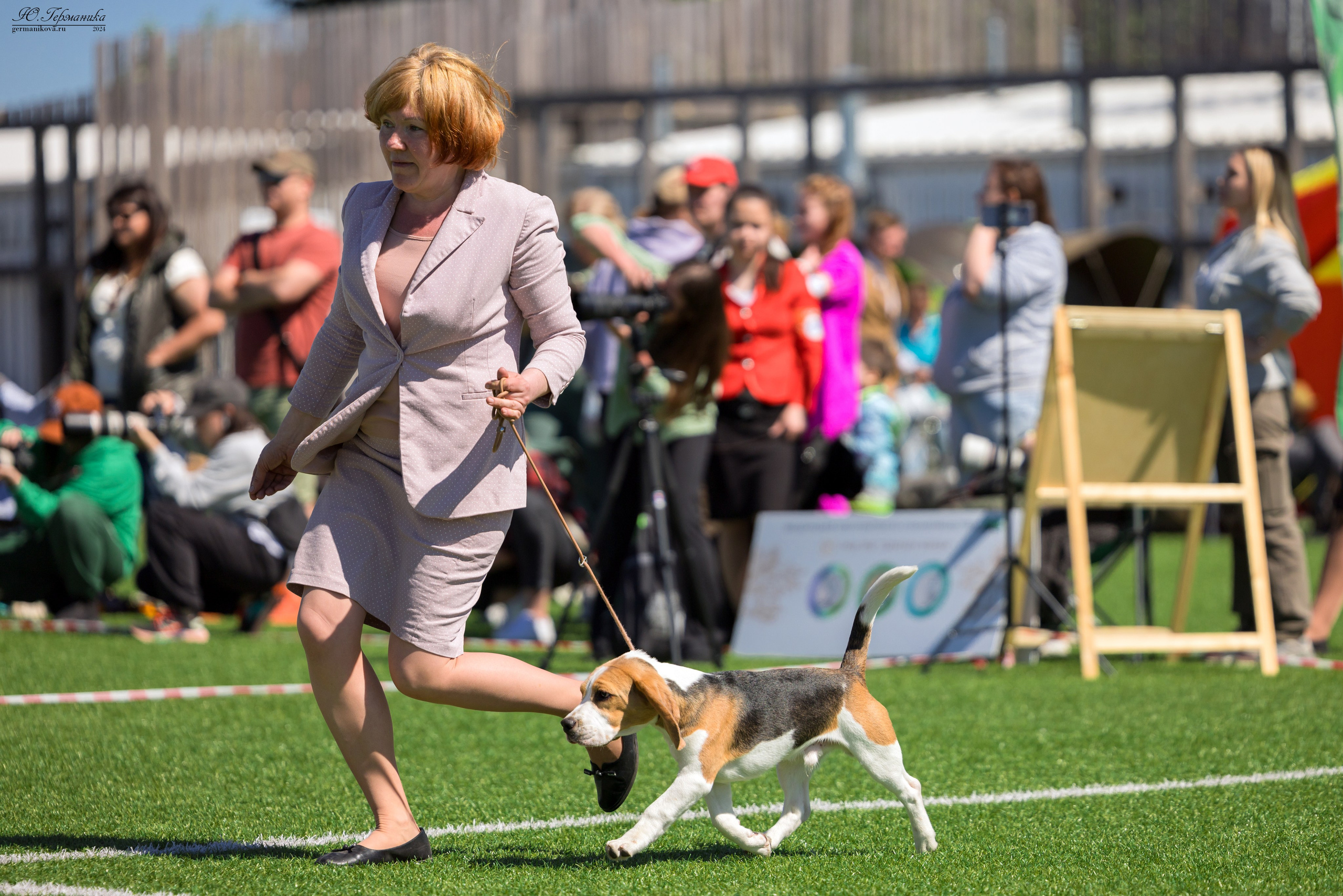 Суздаль 18-19.05.2024. Фотограф-анималист Юлия Германика