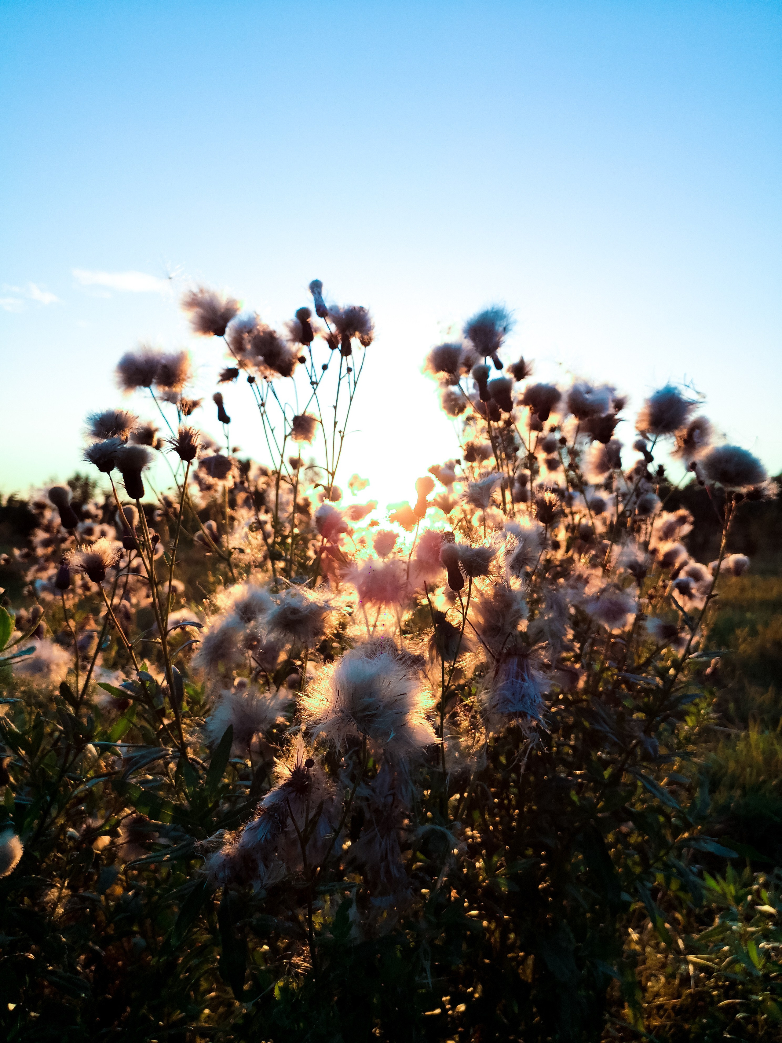 Мобильная солянка. Travel-фотограф Ирина Милинцова