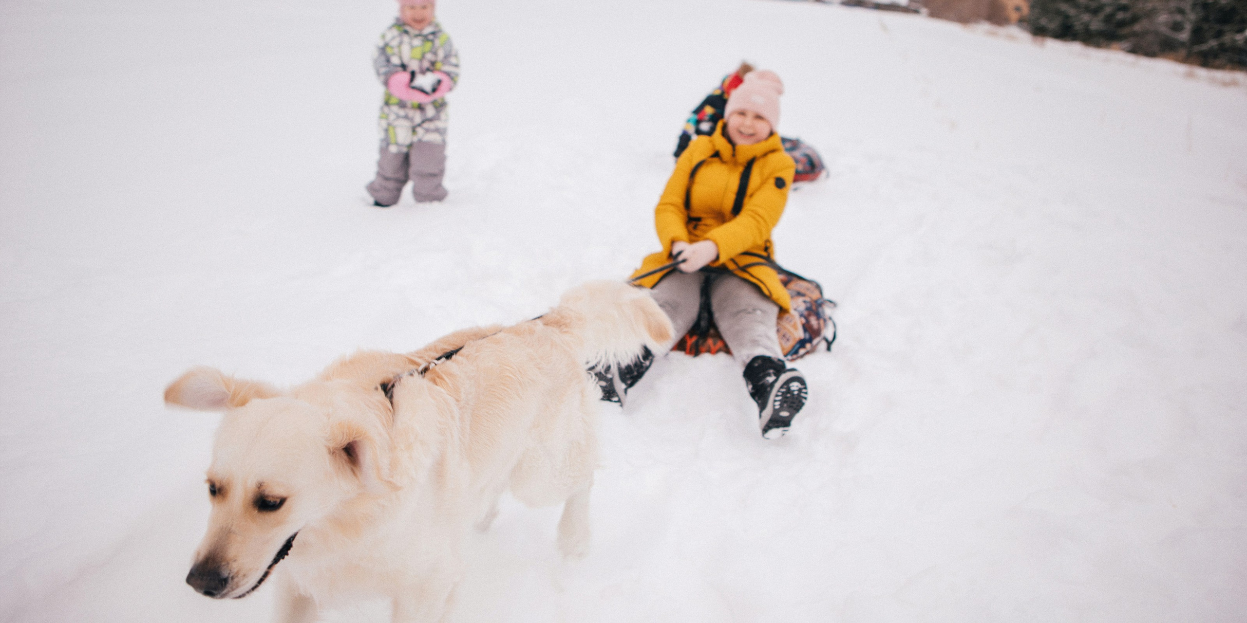 Семейные и индивидуальные. Юрий Тублицев. Фотограф. Оренбург