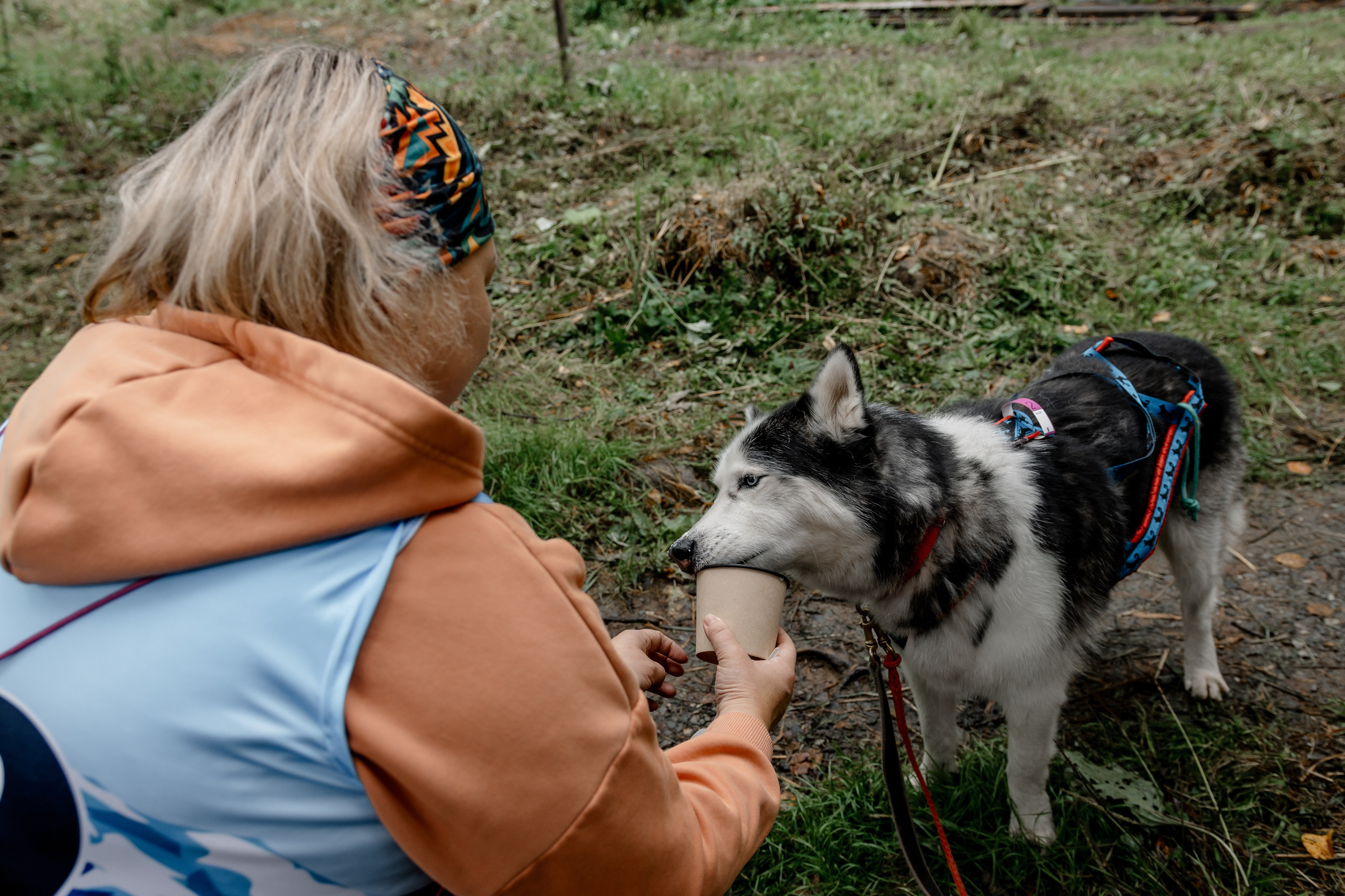 Дог-треккинг
